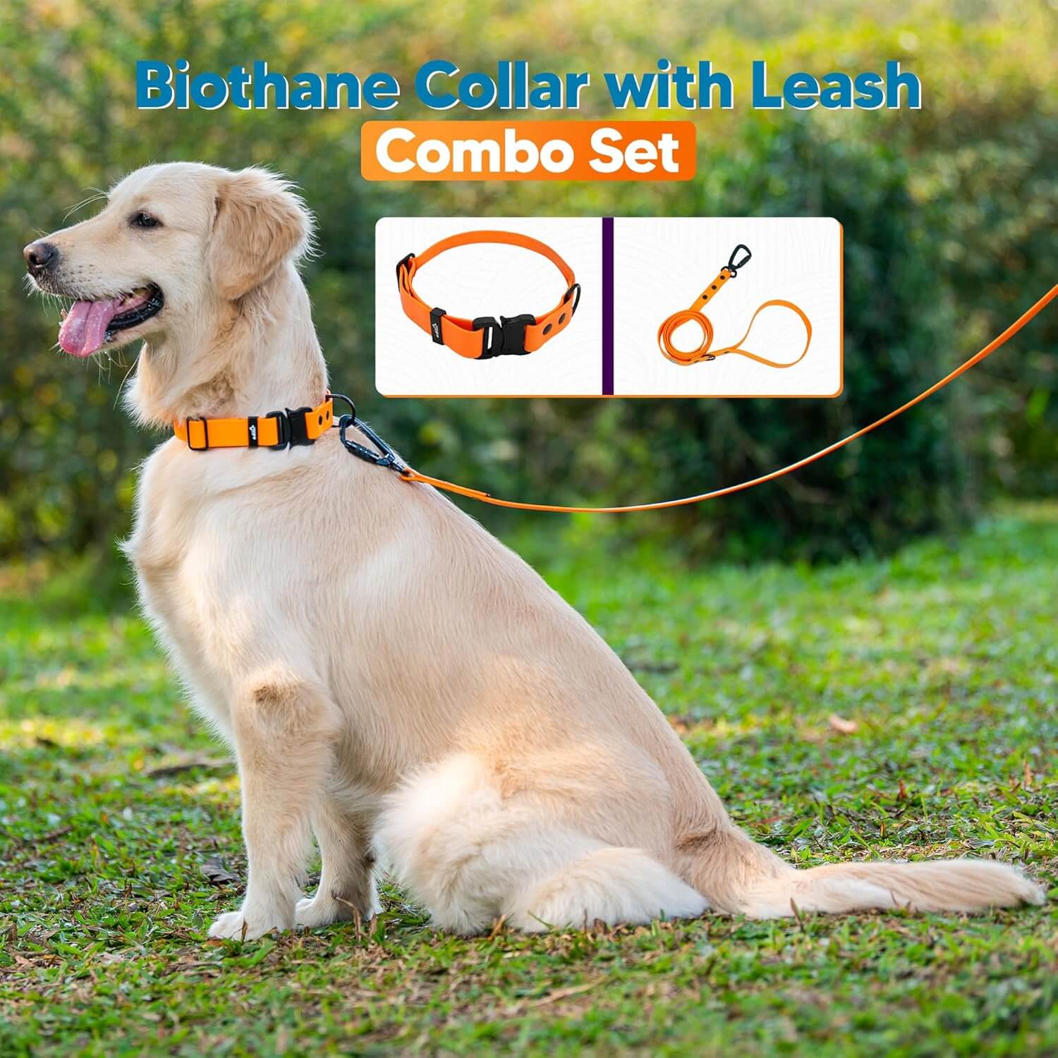 Biothane Combo Dog Collar & Leash