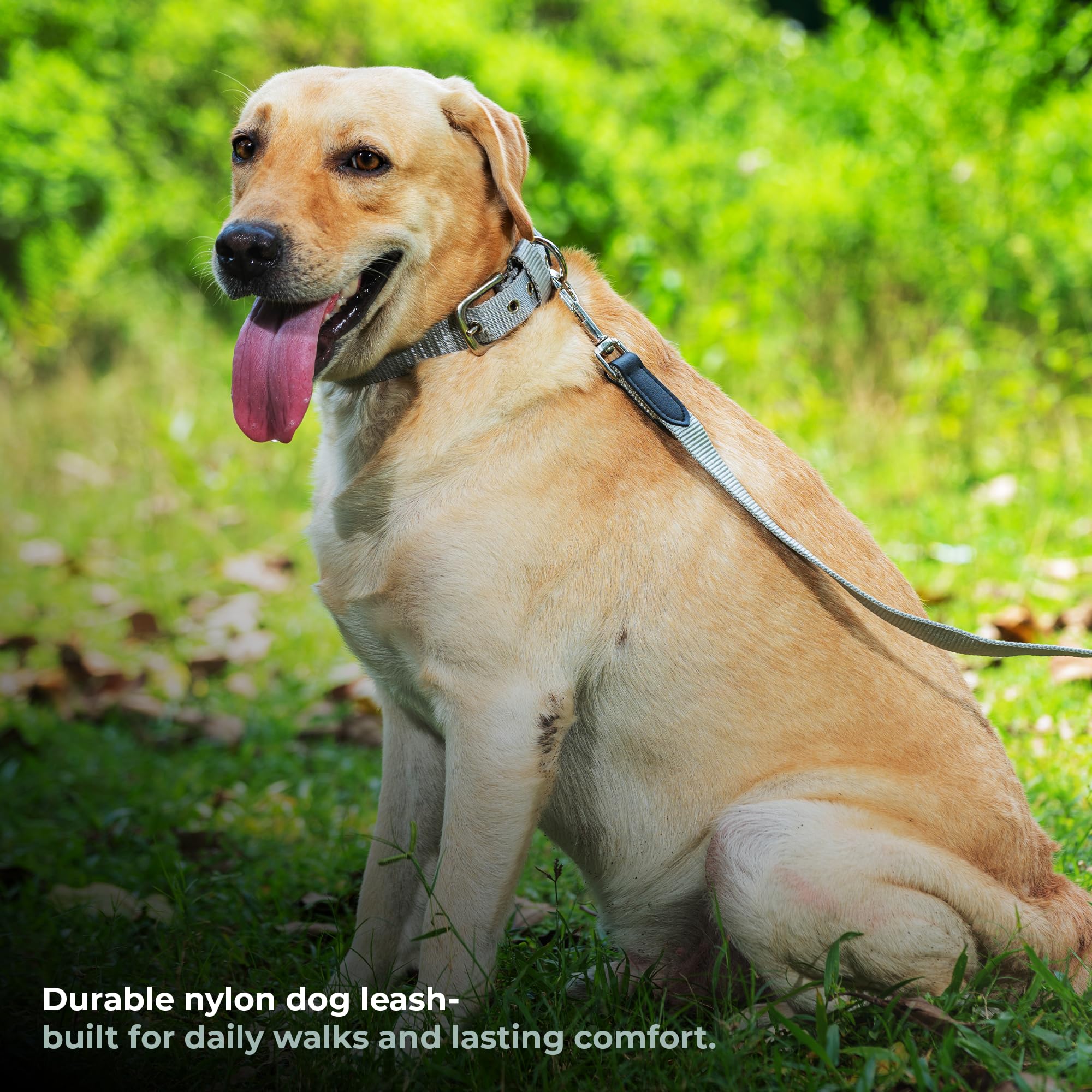 Adil’s 5FT Adjustable Nylon Dog Leash with Soft Leather Handle – Durable Long Lead with 360° Swivel Hook – Strong, Tangle-Free Leash for Walking & Training Small, Medium & Large Dogs