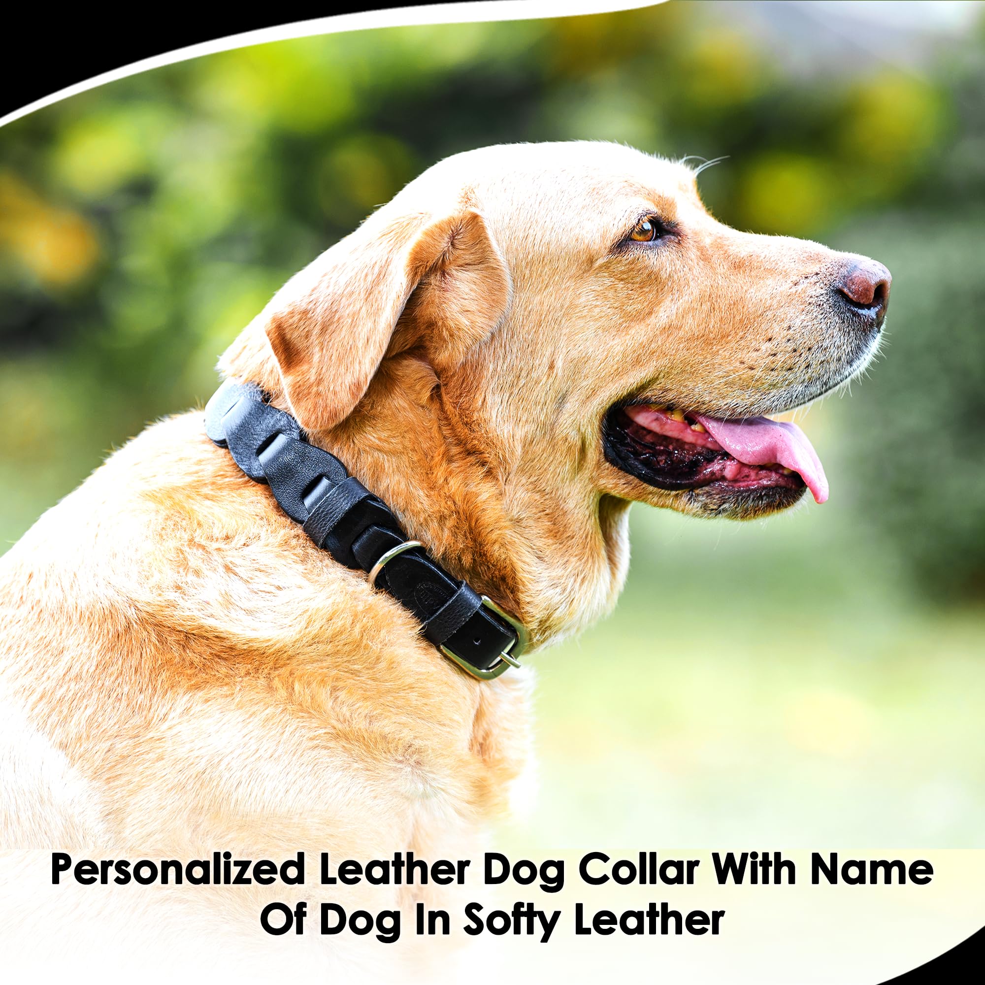 Adil’S Soft Leather Personalized Dog Collar for Large Medium Small Dogs Neck Collar with Personalized Dog Name in Neck Size 12 Inch to 26 Inch