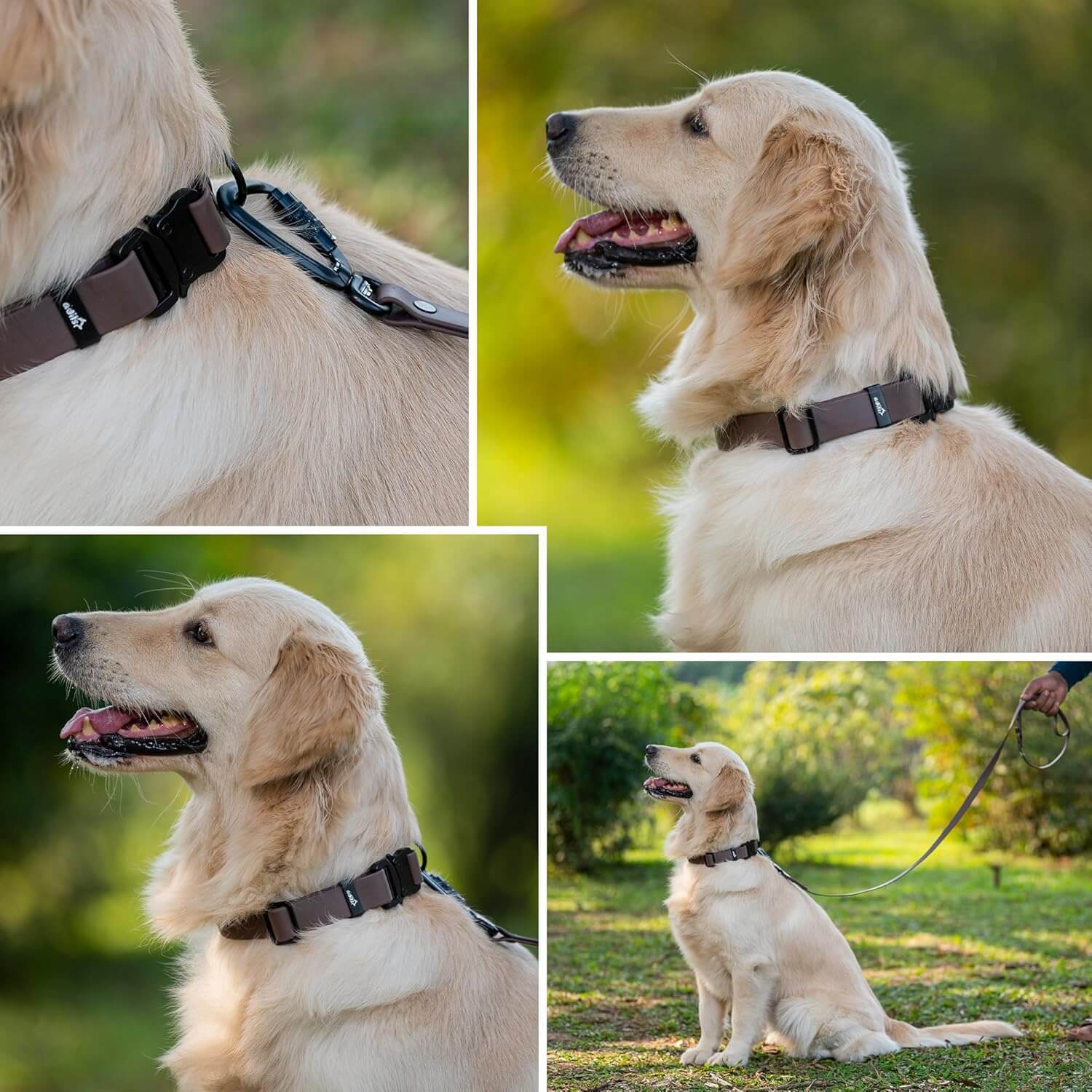 Biothane Combo Dog Collar & Leash