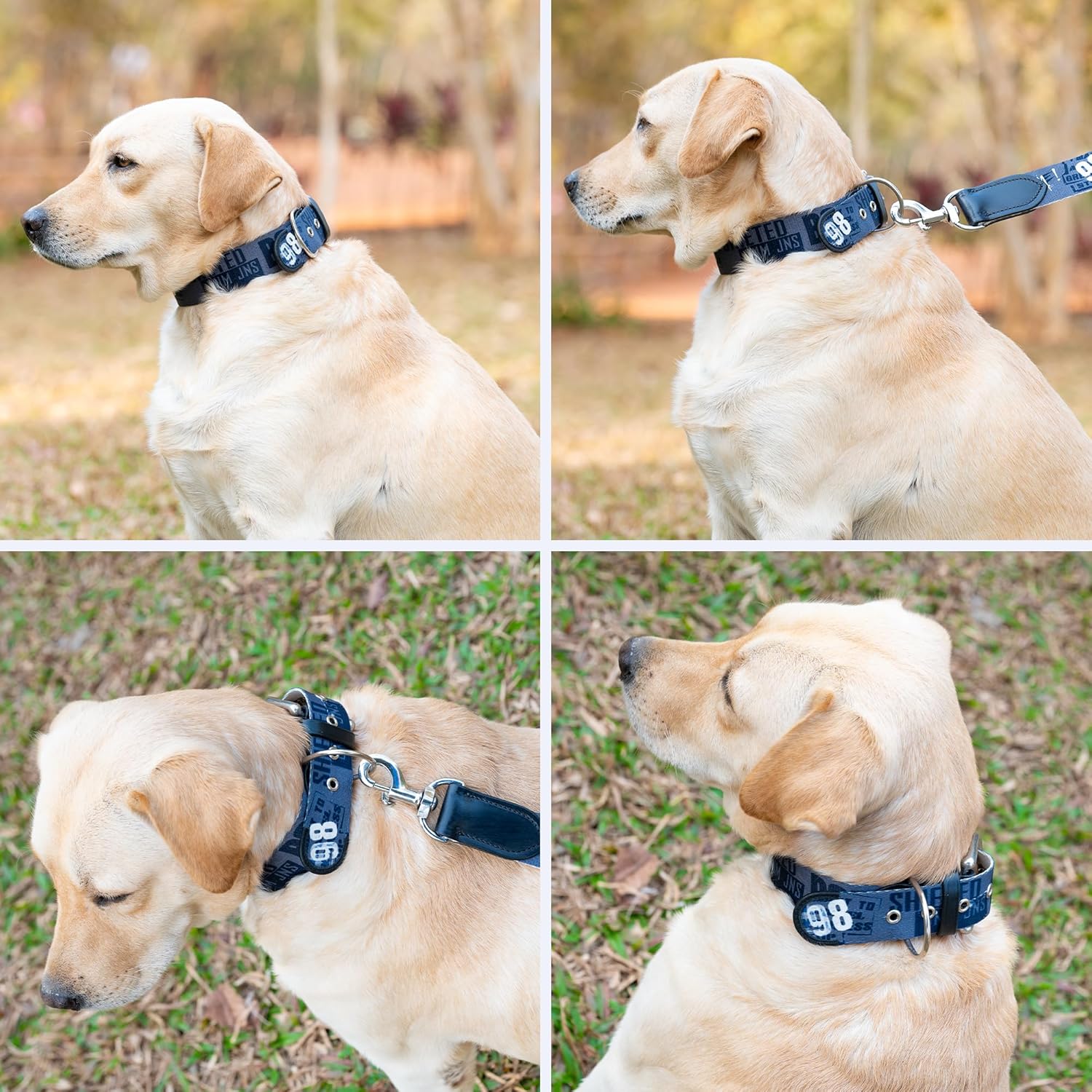 ADIL's Handcrafted Cotton Dog Collar – Premium Graffiti Printed Webbing Neckbelt with Heavy-Duty Metal Buckle & Strong D-Ring Adjustable Neckband for Small Medium Large Dogs