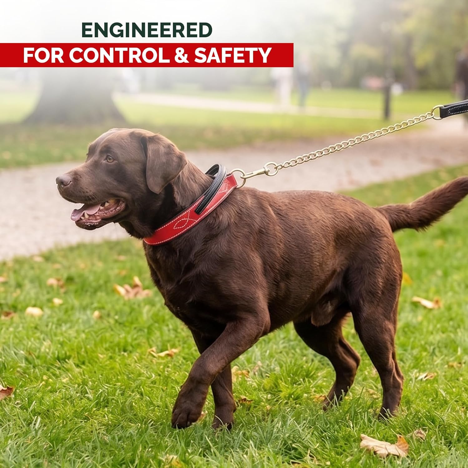 Adil's Softy Leather Dog Collar with Control Handle 1.5 inch Wide Built-in Quick Grab Leather Pull Strap, Heavy Duty Dual D-Ring Neckbelt for Medium & Large Dogs