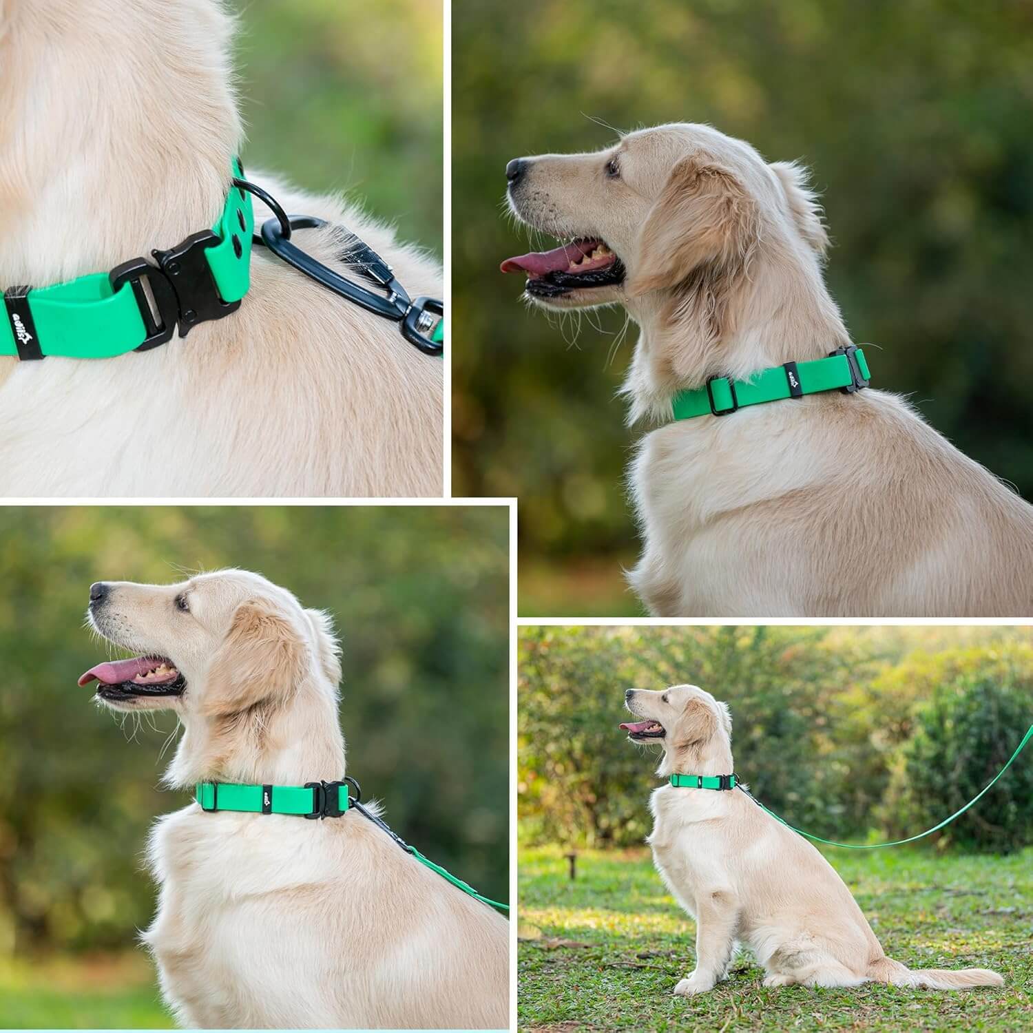 Biothane Combo Dog Collar & Leash