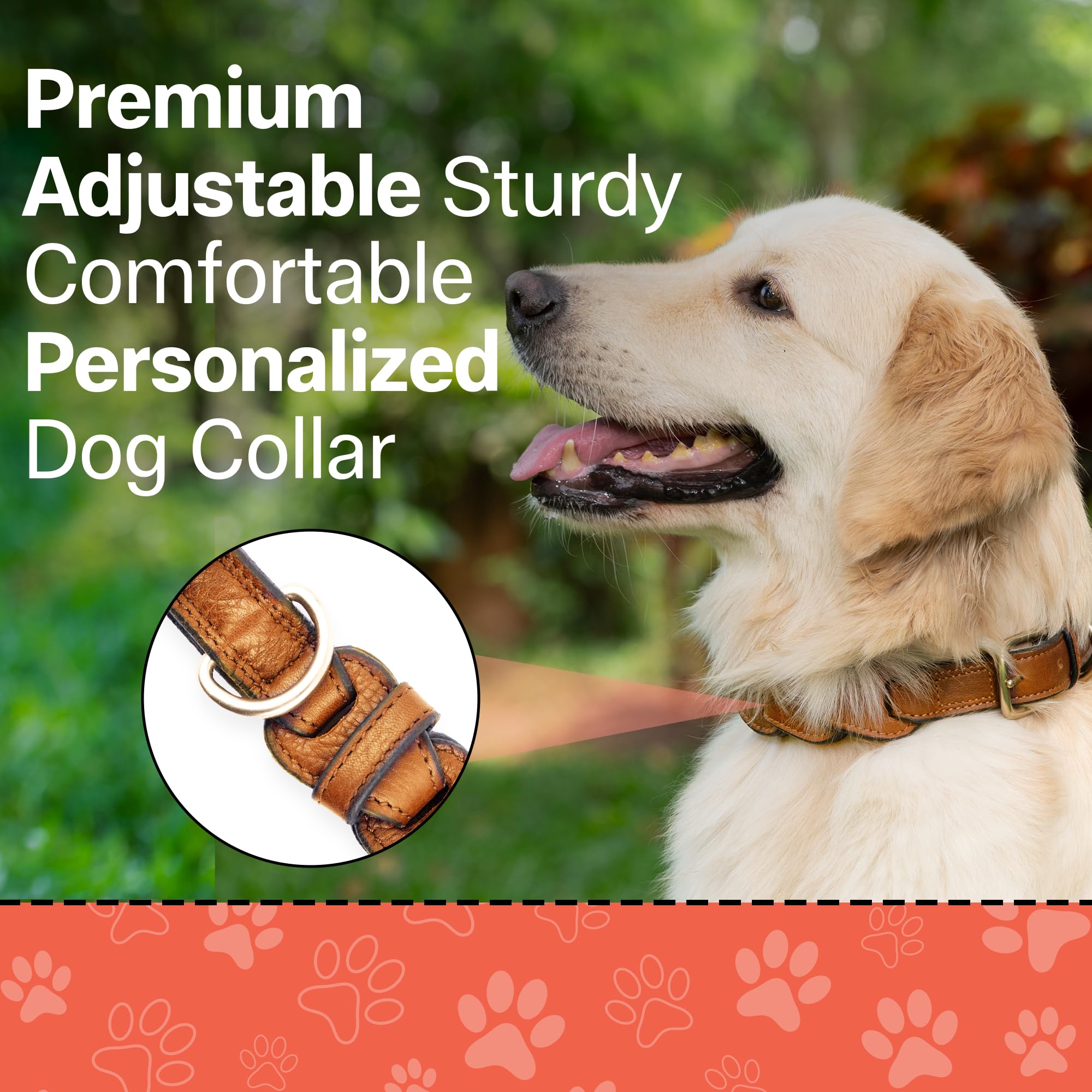 Adil’S Soft Leather Personalized Dog Collar for Large Medium Small Dogs Neck Collar with Personalized Dog Name in Neck Size 12 Inch to 26 Inch