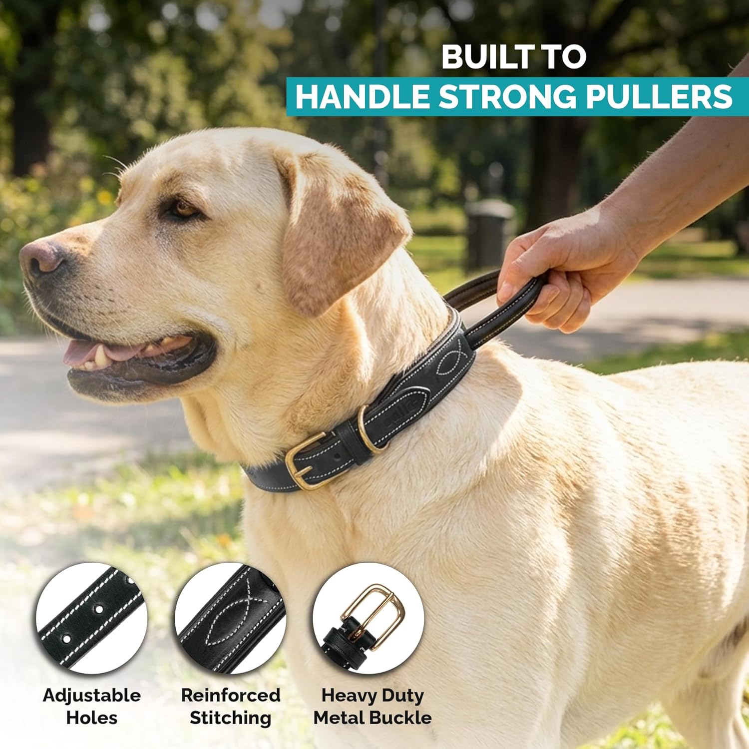 Adil's Softy Leather Dog Collar with Control Handle 1.5 inch Wide Built-in Quick Grab Leather Pull Strap, Heavy Duty Dual D-Ring Neckbelt for Medium & Large Dogs (Black, S)