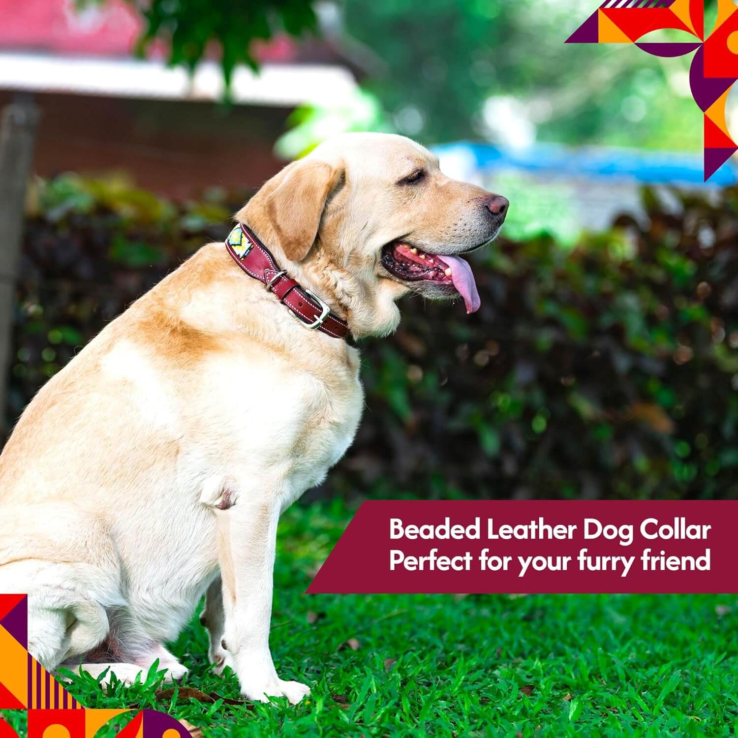 Adil’s Beaded Leather Dog Collar, Hand Tooled Adjustable with Strong Metal Buckle