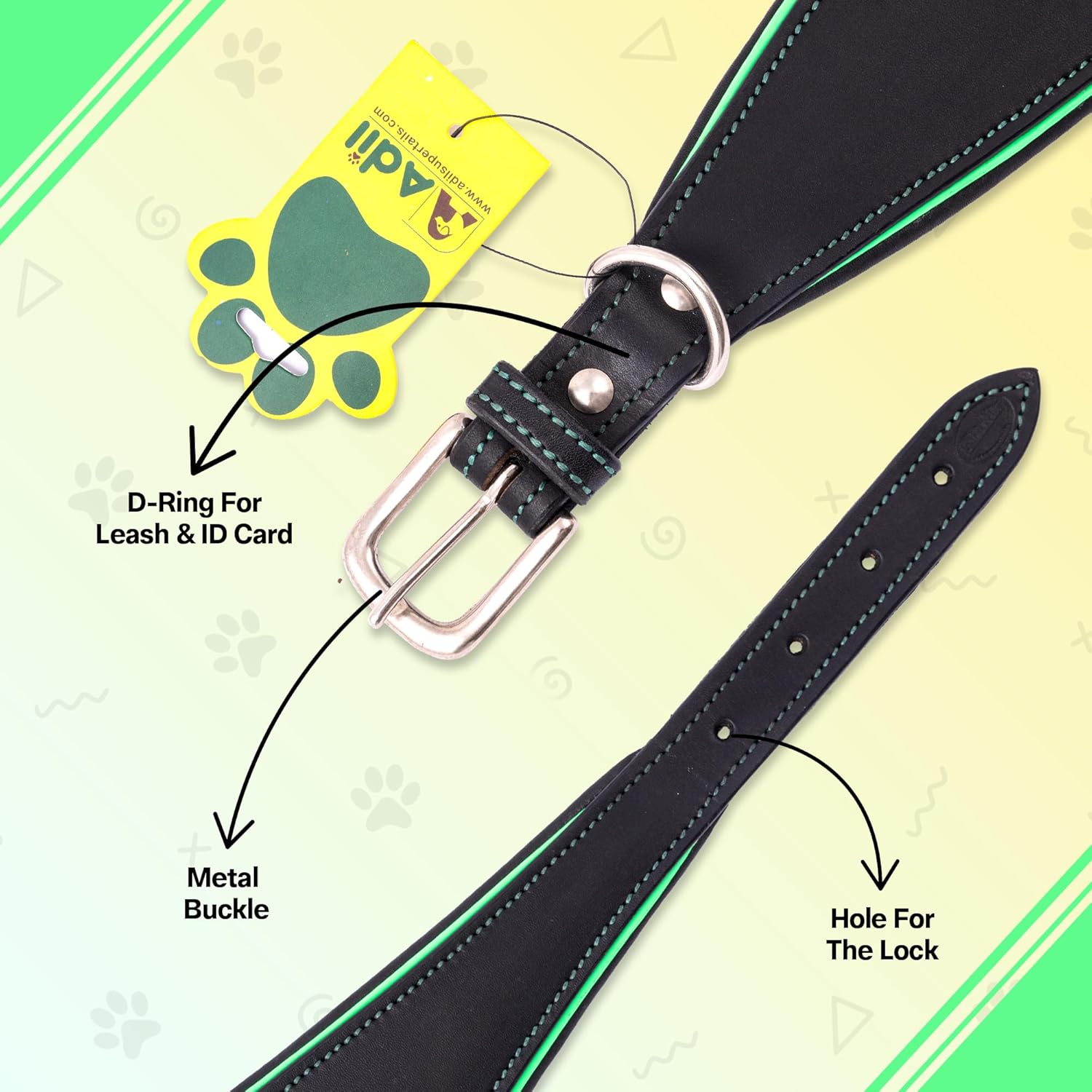 Adil's Leather Dog Collar for Greyhound, Saluki, and Whippet Dogs