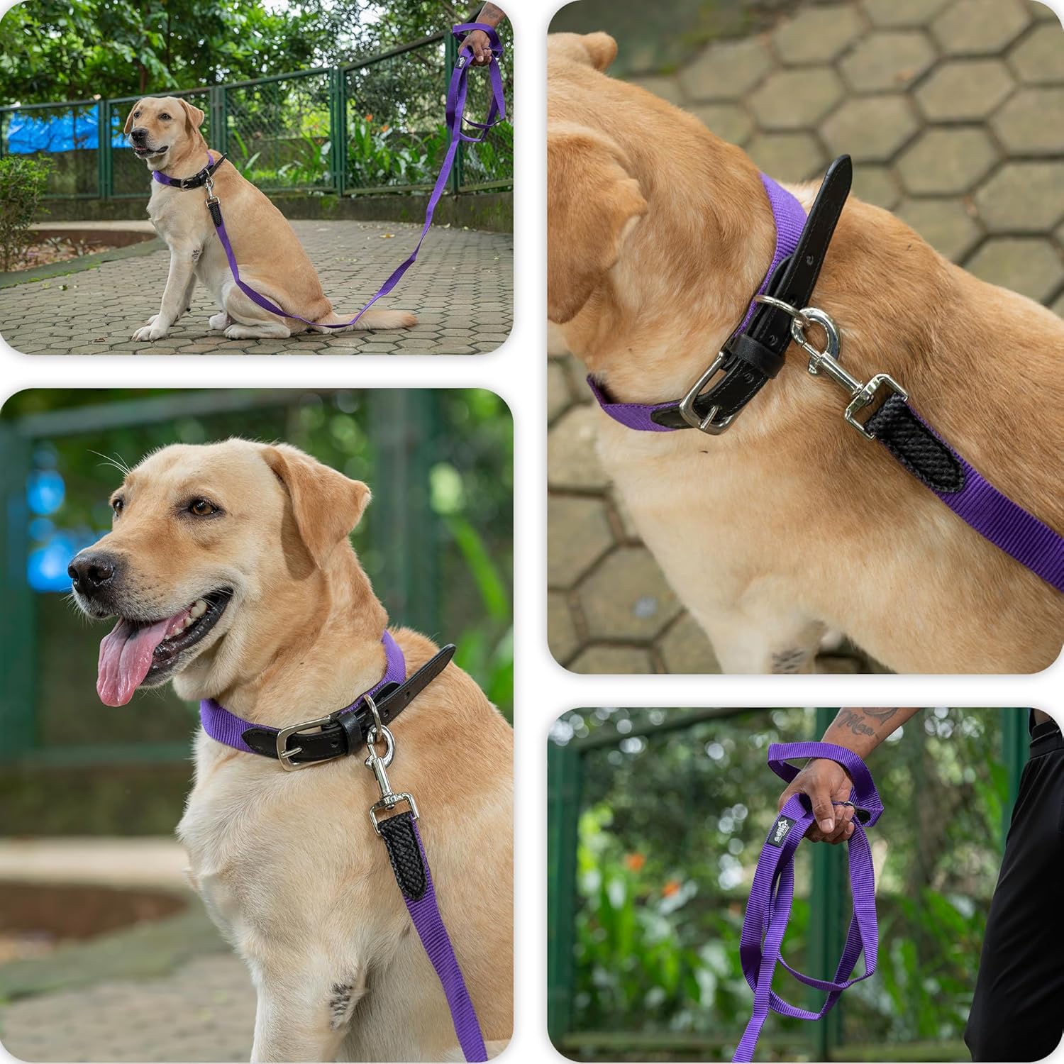 Adil’s Adjustable Plain Nylon with Leather Dog Collar & Leash Combo – Reinforced with Metal Buckle, 360° Swivel Hook, D-Ring & 10ft Leash for Small, Medium & Large Dogs (Purple, Small)