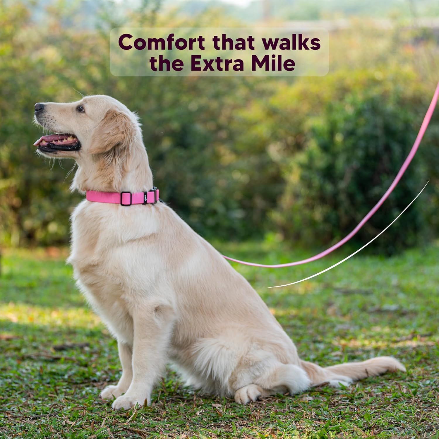 Adil’s Biothane Dog Leash - Waterproof Leashes for Dogs, Metal Hook, Adjustable 5ft Length Suitable for Dogs & Puppies, Ideal for Walking, Running & Training