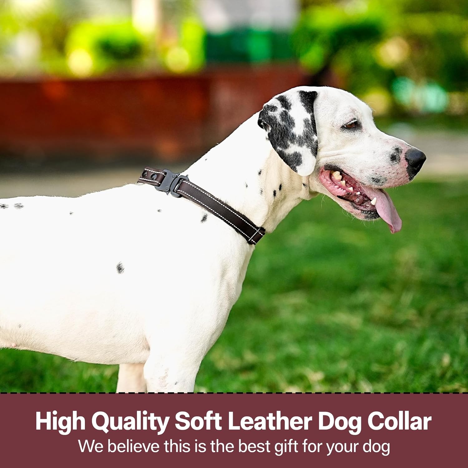 Adil’S Softy Leather Dog Collar 1inch, Dog Neck Belt for Medium to Large Pets – Leather Collars for Dog, Neck Adjustable 12-26 Inch