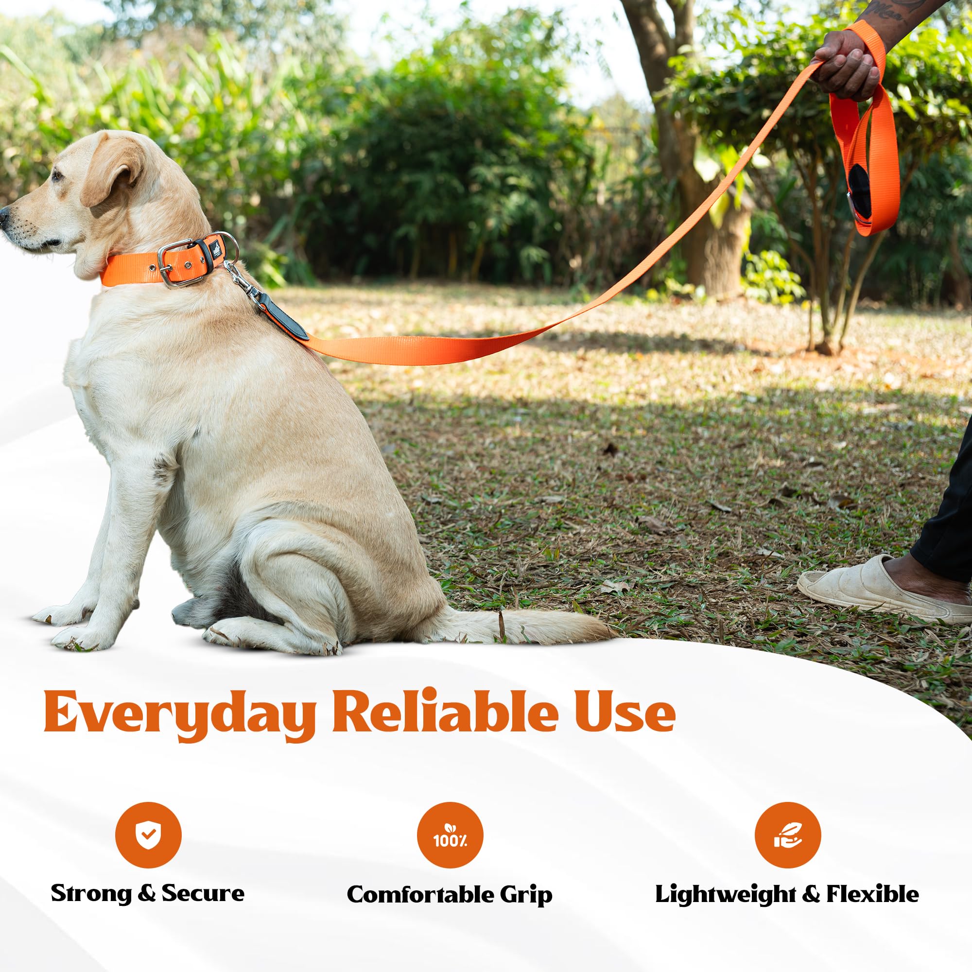 ADIL's Nylon Dog Leash, Heavy Duty Walking Lead with 360° Swivel Metal Hook 1.5 Inch Wide Durable Training Cord with Comfortable Loop Handle for Medium Large Dogs