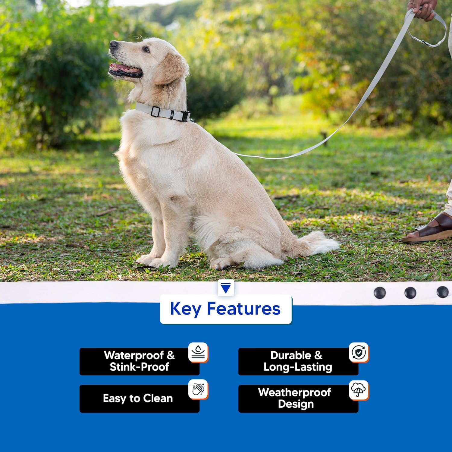 Adil’s Biothane Dog Leash - Waterproof Leashes for Dogs, Metal Hook, Adjustable 5ft Length Suitable for Dogs & Puppies, Ideal for Walking, Running & Training