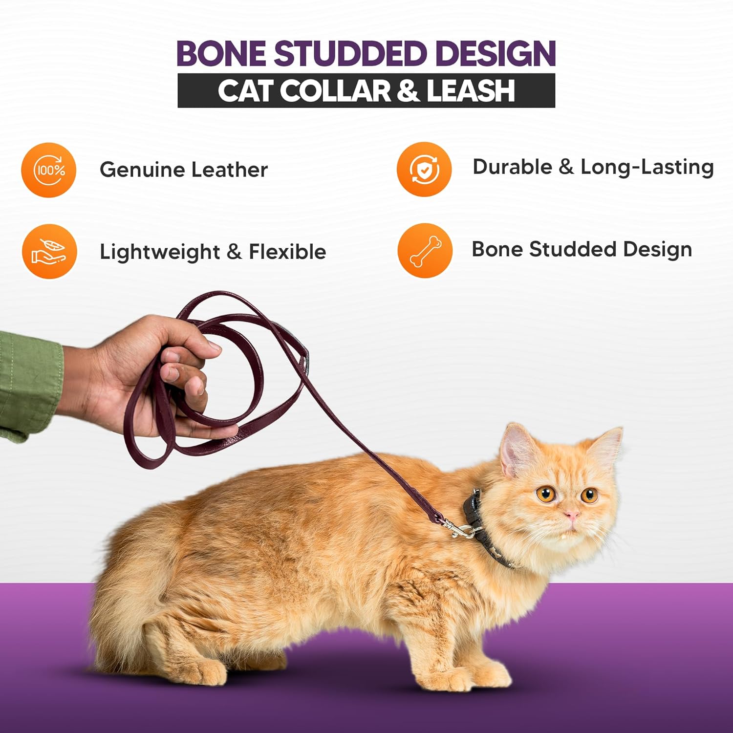 Adil’S Leather Cat Collar & Leash Set - Stylish Six Bone Studded Design Collar, Genuine Leather, Adjustable Buckle & Secure 5ft Leash for Safe and Comfortable Outdoor Activity (Brown)