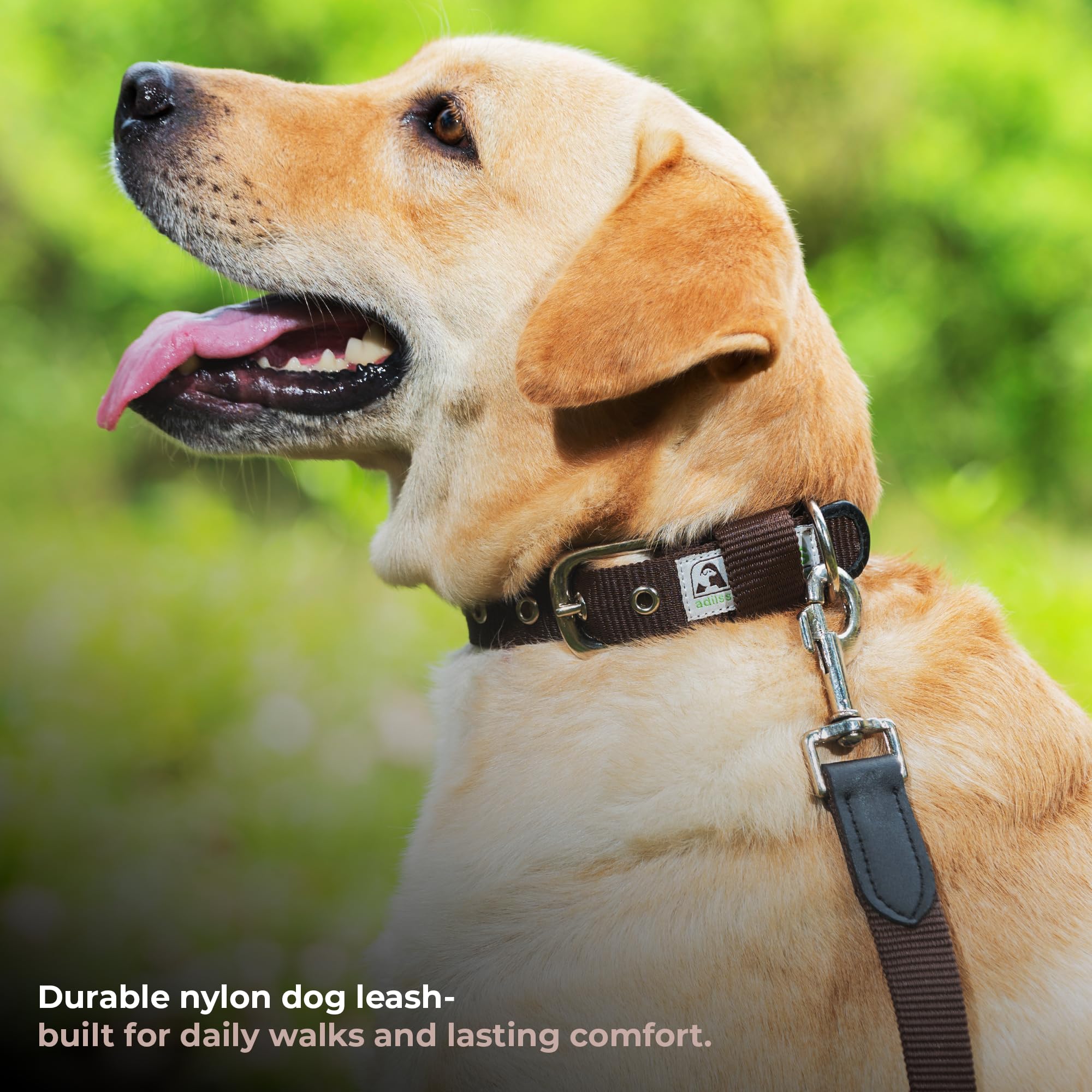 Adil’s 5FT Adjustable Nylon Dog Leash with Soft Leather Handle – Durable Long Lead with 360° Swivel Hook – Strong, Tangle-Free Leash for Walking & Training Small, Medium & Large Dogs