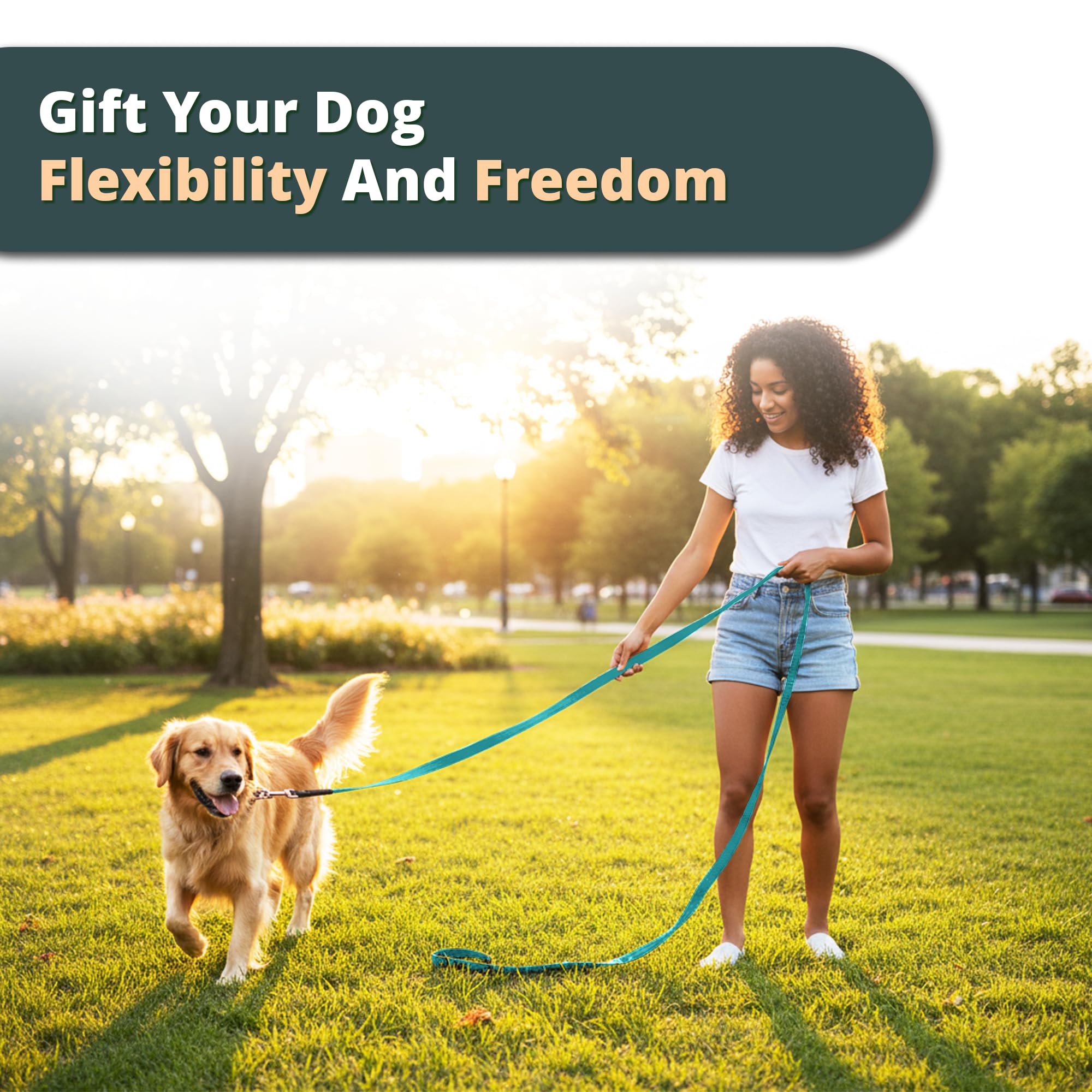 Adil’s 10FT Adjustable Dog Leash Features a Soft Leather Handle, Strong Nylon, and a 360° Swivel Hook—Durable, Comfy, and Ideal for Small to Large Dogs.