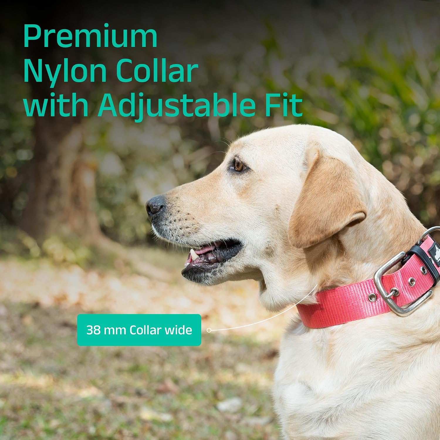 ADIL's Nylon Dog Collar – 1.5 Inch Wide Heavy-Duty Neckbelt with Metal Buckle D-Ring, Adjustable Safety Strap Small Medium Large Pets for Outdoor Walking Training
