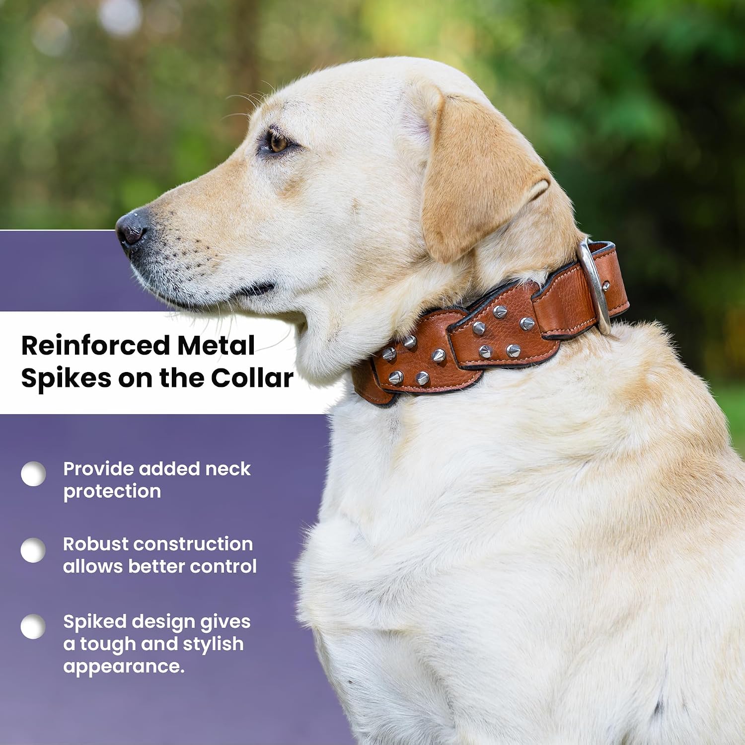 Adil’s Personalized Leather Loop Spike Dog Collar & Leash Combo Set 1.5" Wide Adjustable Neckbelt Metal Buckle D-Ring 5Ft Leather Heavy Duty Loop Cord with 360 Swivel Hook for Training Walking