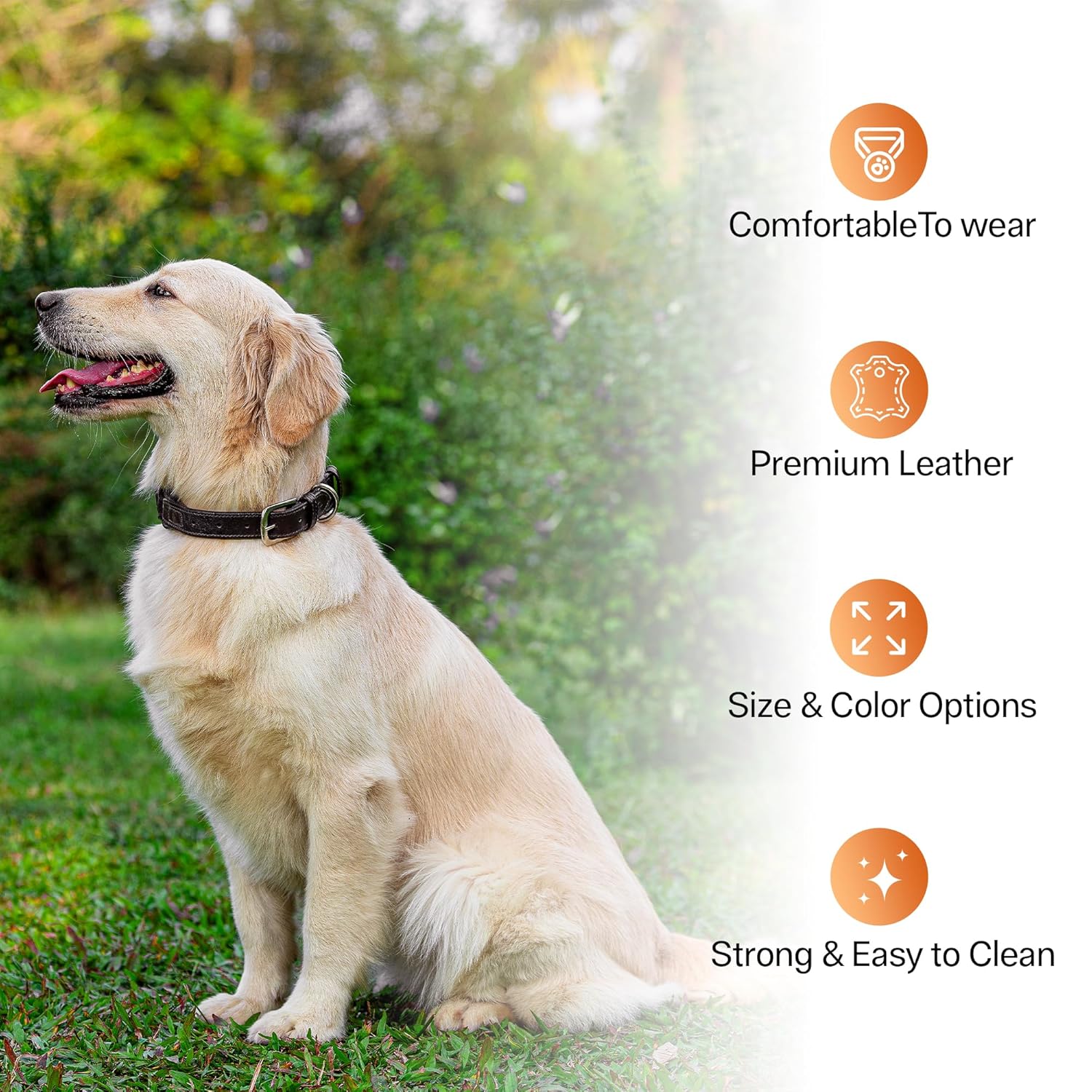 Adil’S Genuine Leather Loop Dog Collar – Handmade, Heavy-Duty, Soft Padded & Adjustable – Durable Braided Leather Collar Dogs