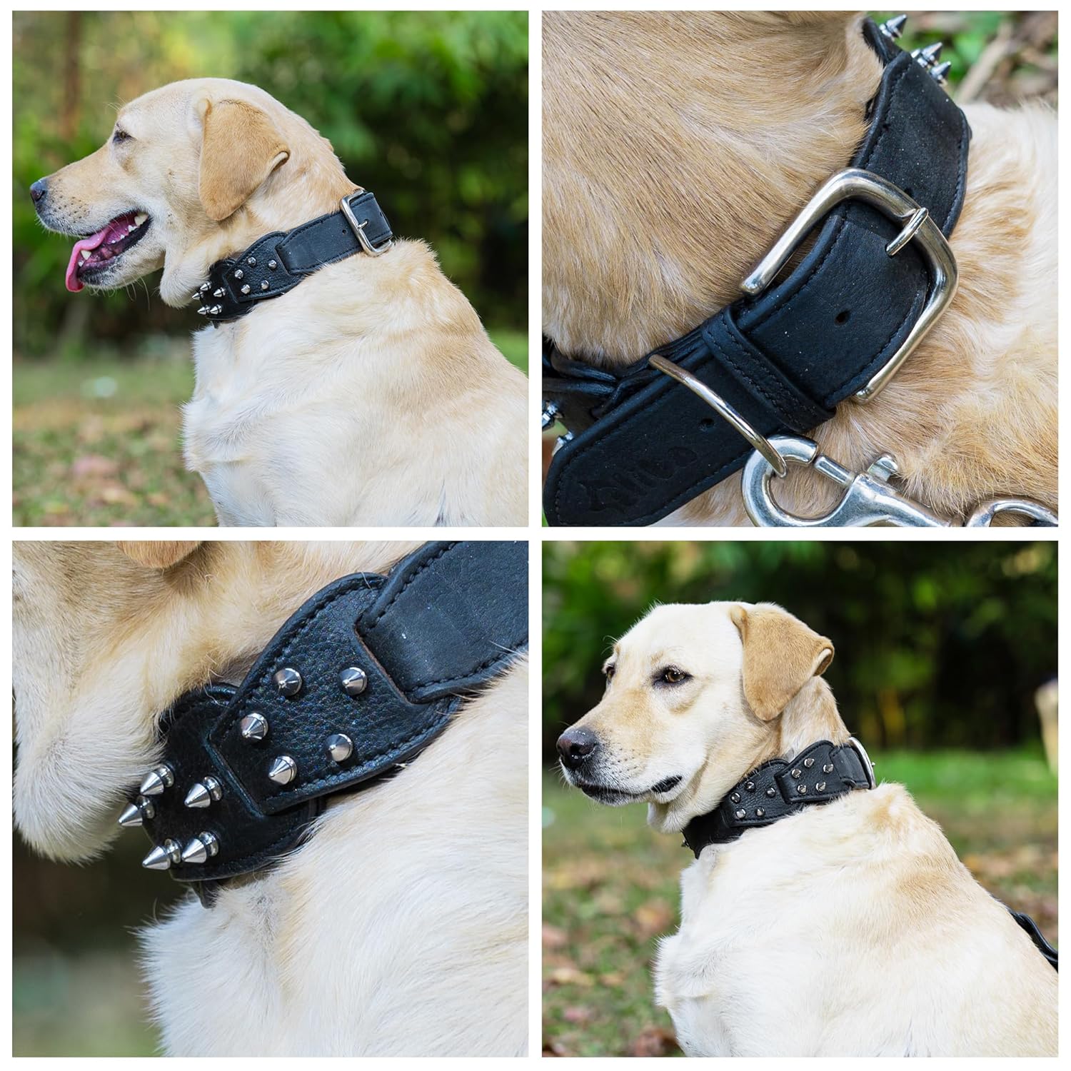 Adil's Personalized Softy Premium Leather Spiked Dog Collar – 1.5 Inch Wide Loop Design Heavy Duty Soft Padded Neckbelt, Sturdy Stainless Steel Buckle & D-Ring for Small, Medium & Large Pets