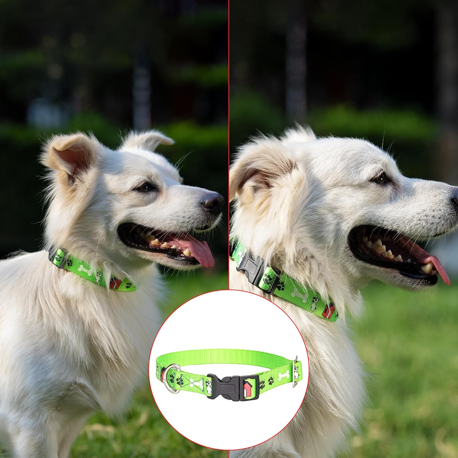 Adil’S Nylon Paw Print Dog Collar with Adjustable Quick Release Buckle & D-Ring for Leashes, 0.75in Width, Suitable for Small to Large Dogs, Size: XS, Green