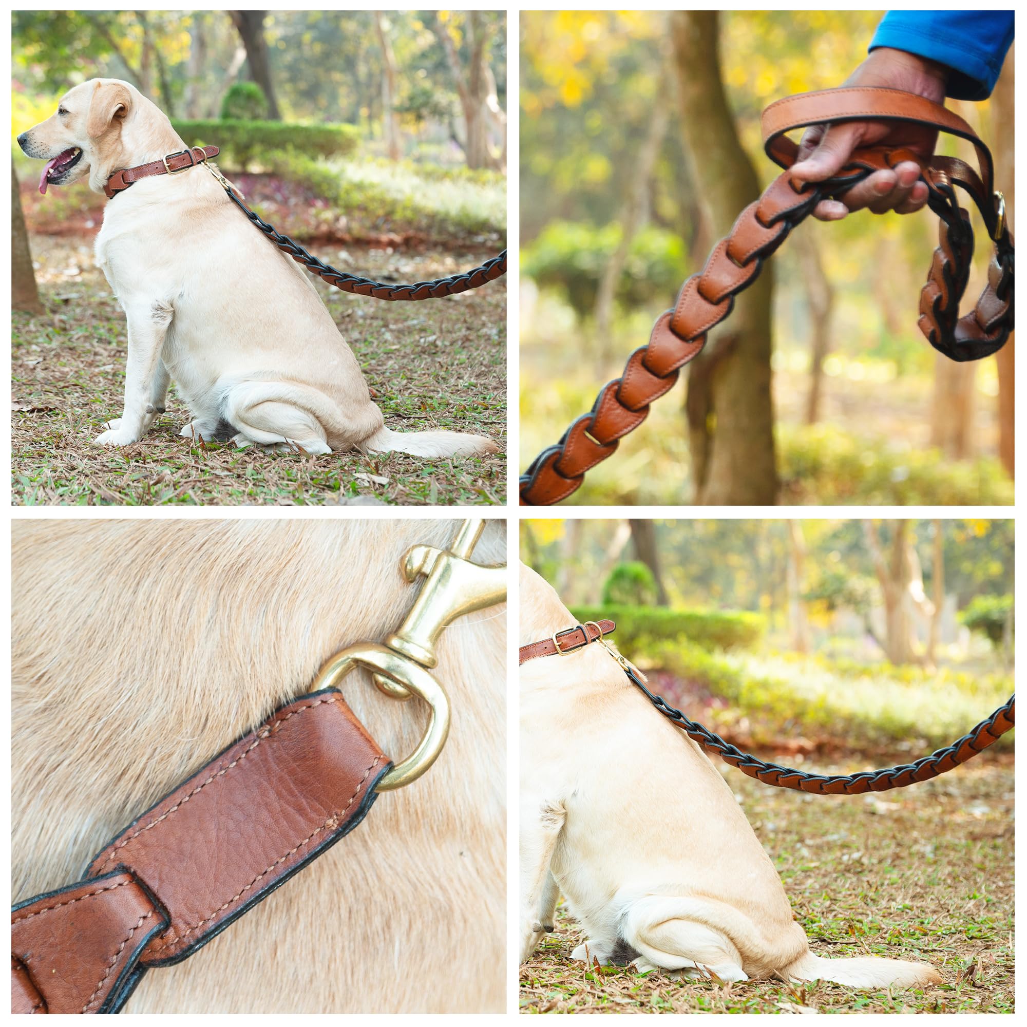 Adil's Premium Softy Leather Dog Leash 5ft Long 1 Inch Wide Braided Leash with Loop Handle 360° Golden Swivel Hook Strong D-Ring Durable Walking Training Lead for Small Medium Large Pets
