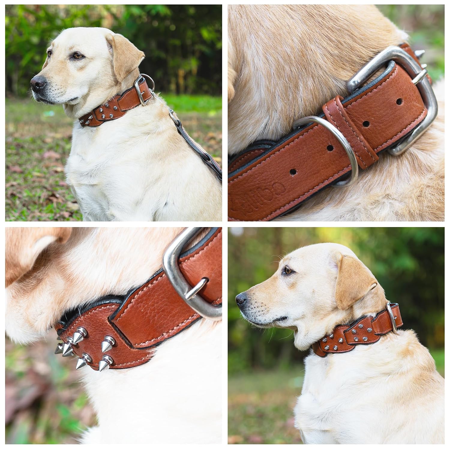 Adil's Personalized Softy Premium Leather Spiked Dog Collar – 1.5 Inch Wide Loop Design Heavy Duty Soft Padded Neckbelt, Sturdy Stainless Steel Buckle & D-Ring for Small, Medium & Large Pets