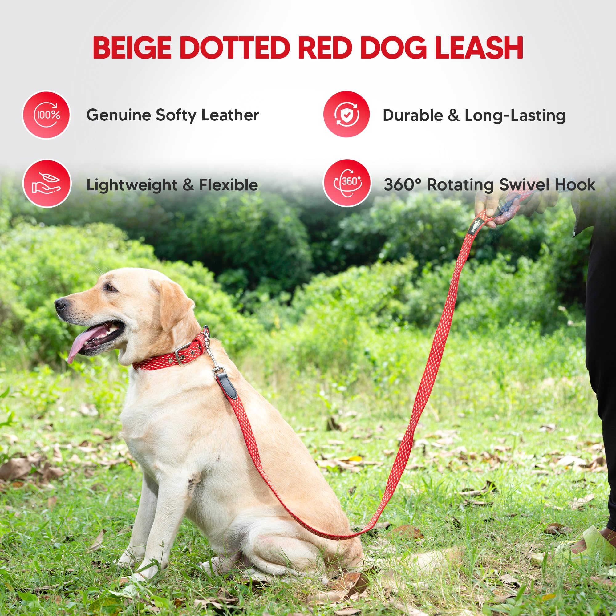 Adil’s 5ft Cotton Dotted Dog Leash with Leather Grip & 360° Swivel Hook – Durable, Comfy & Tangle-Free for All Dog Sizes
