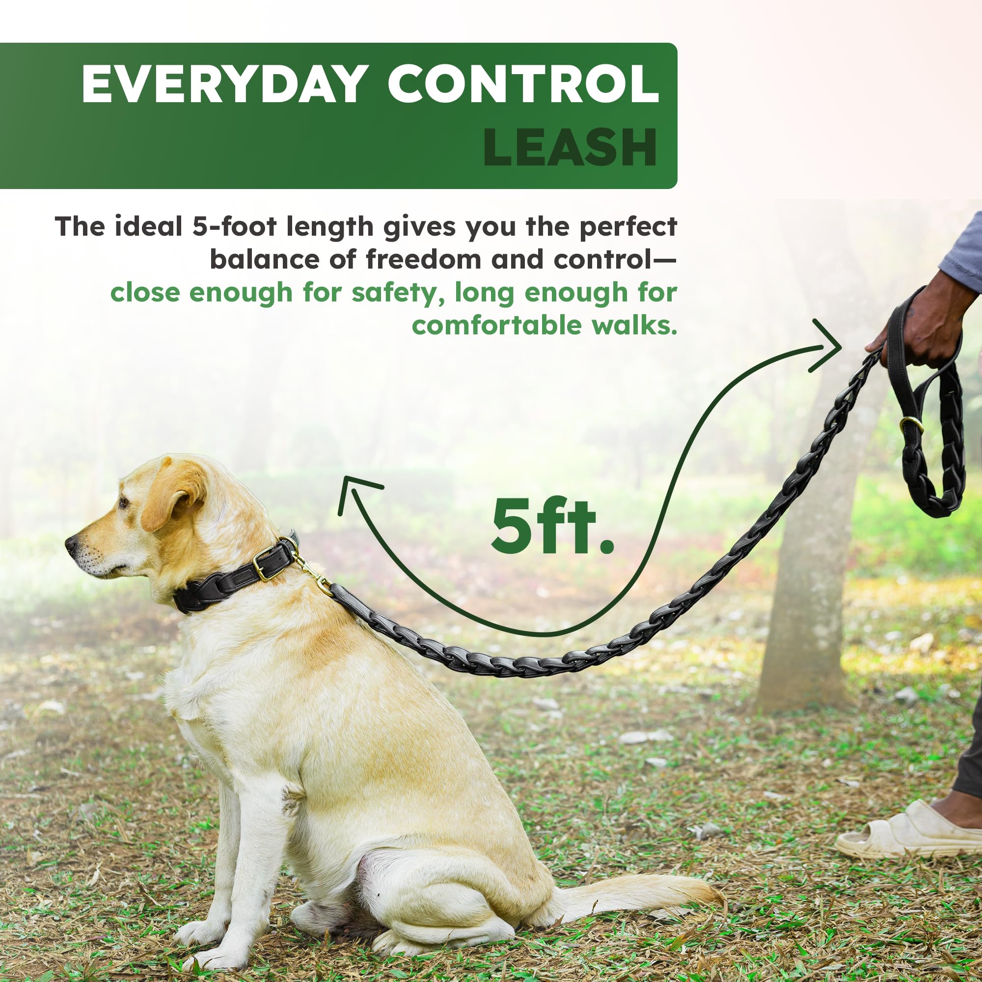 Adil's Premium Softy Leather Dog Leash 5ft Long 1 Inch Wide Braided Leash with Loop Handle 360° Golden Swivel Hook Strong D-Ring Durable Walking Training Lead for Small Medium Large Pets