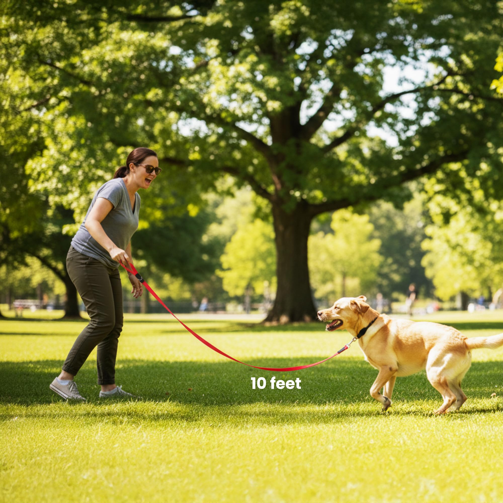 Adil’s 10FT Adjustable Dog Leash Features a Soft Leather Handle, Strong Nylon, and a 360° Swivel Hook—Durable, Comfy, and Ideal for Small to Large Dogs.