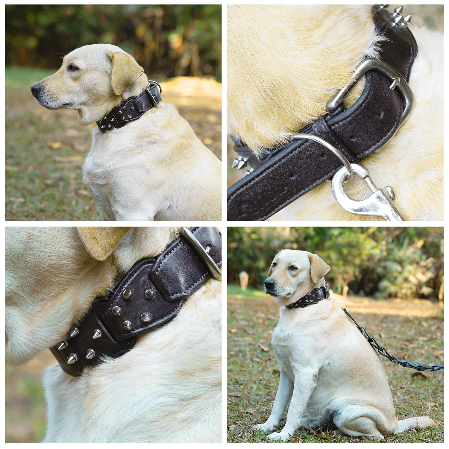 Adil's Personalized Softy Premium Leather Spiked Dog Collar – 1.5 Inch Wide Loop Design Heavy Duty Soft Padded Neckbelt, Sturdy Stainless Steel Buckle & D-Ring for Small, Medium & Large Pets