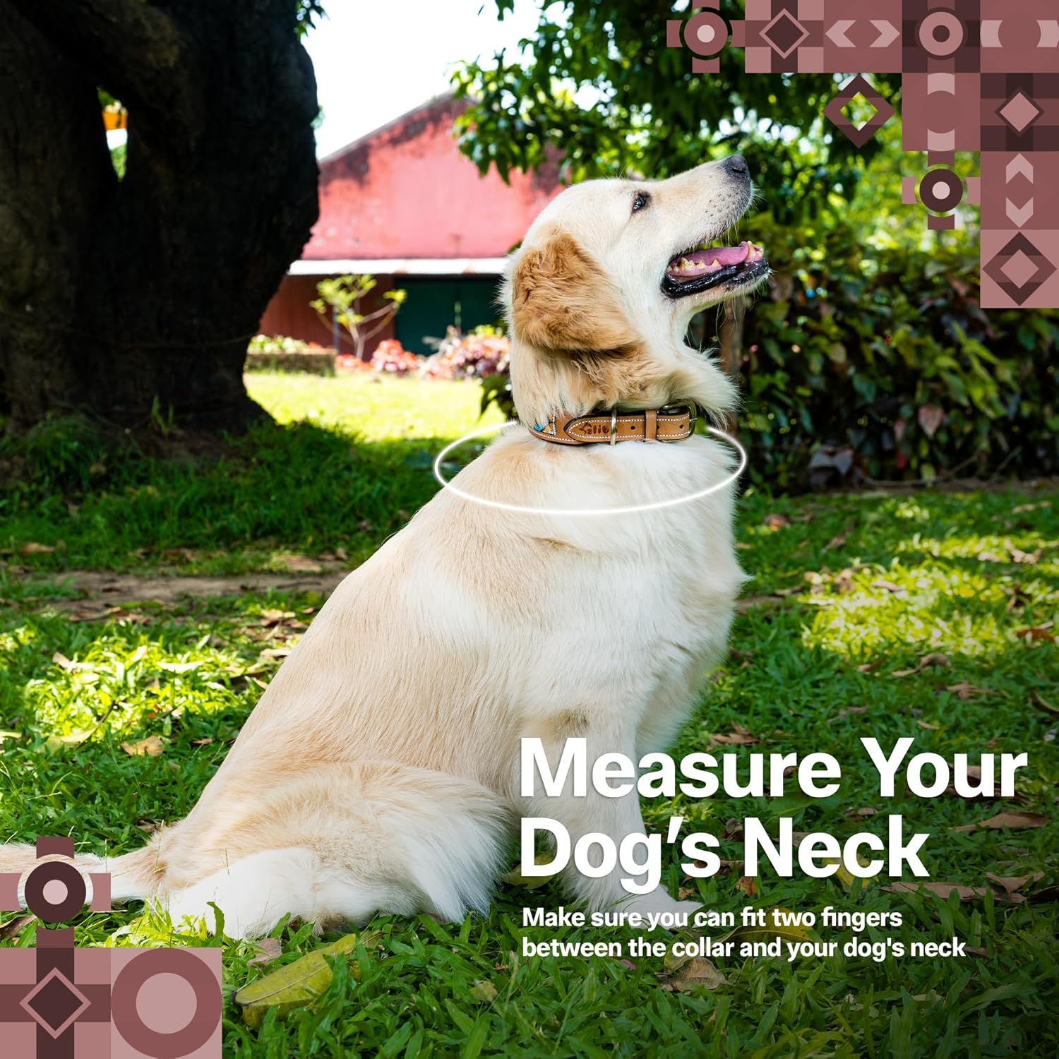 Adil’S Beaded Leather Dog Collar 1.5 Inch Width, for Small, Medium & Large Dogs, Hand Tooled Adjustable Beaded Dog Collars with Strong Metal Buckle & D-Ring