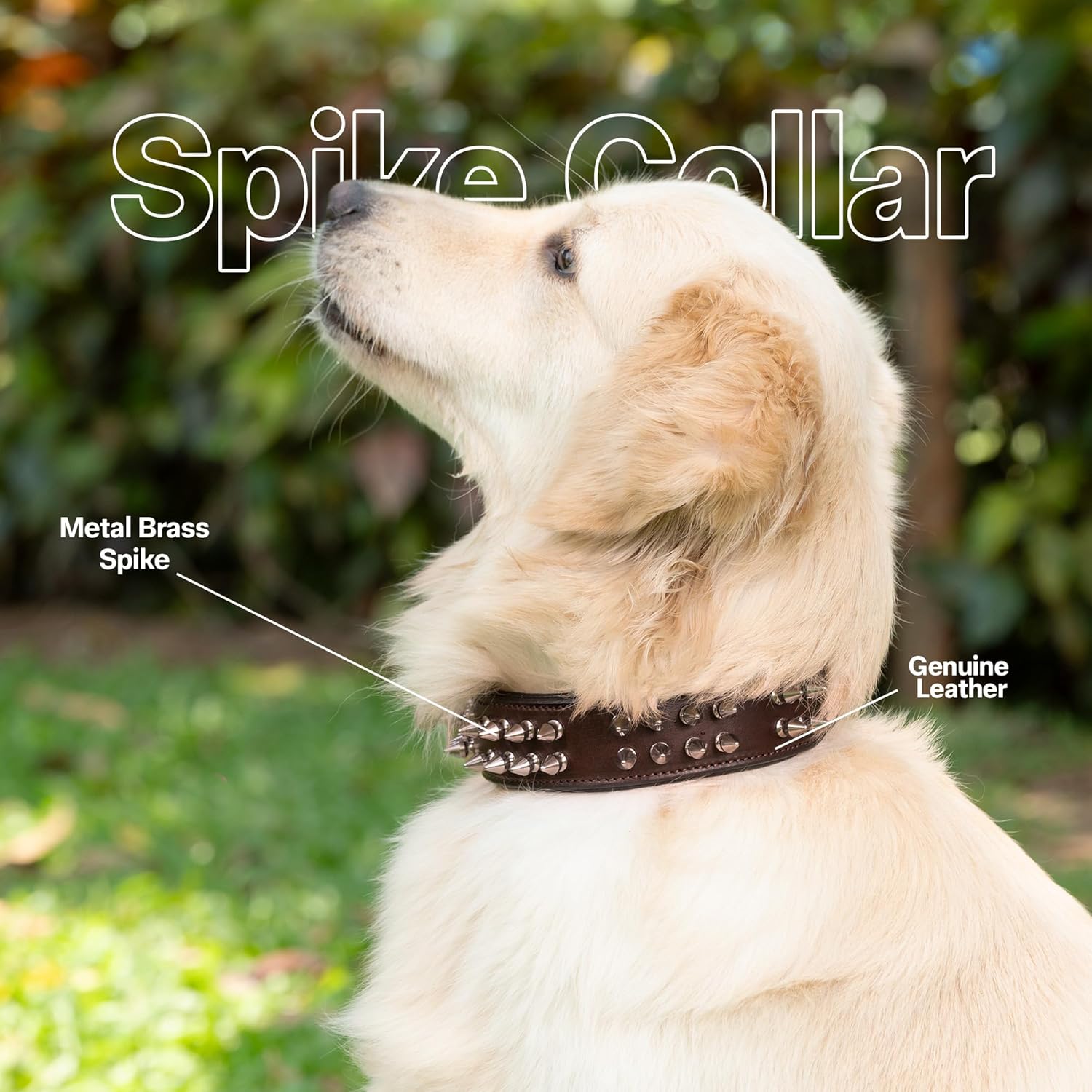 ADIL'S Leather Dog Collar With Spike, Adjustable Metal Buckle Studded Collars For Small, Medium, & Large Dog With D Ring, Width: 38Mm