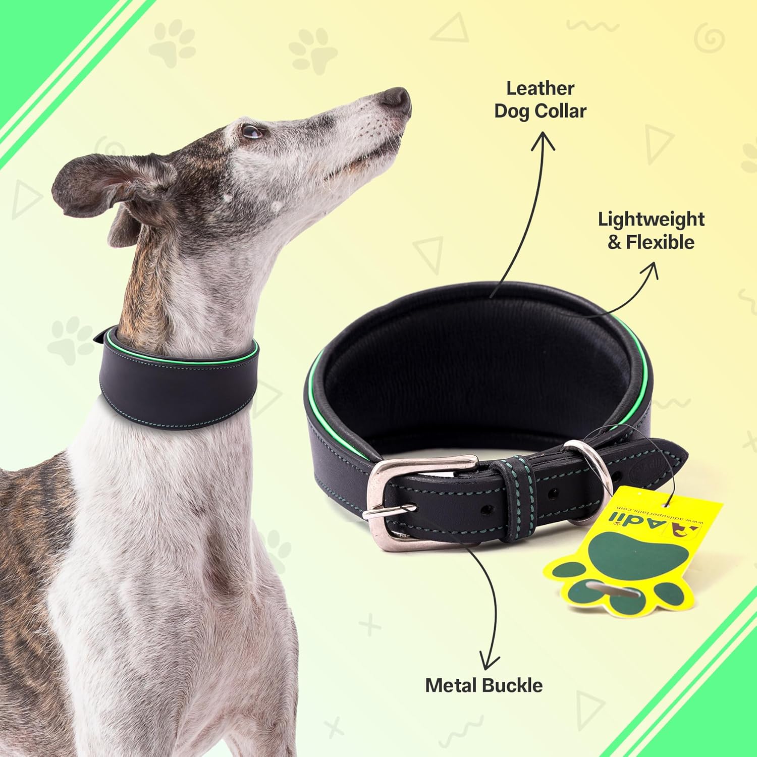 Adil's Leather Dog Collar for Greyhound, Saluki, and Whippet Dogs