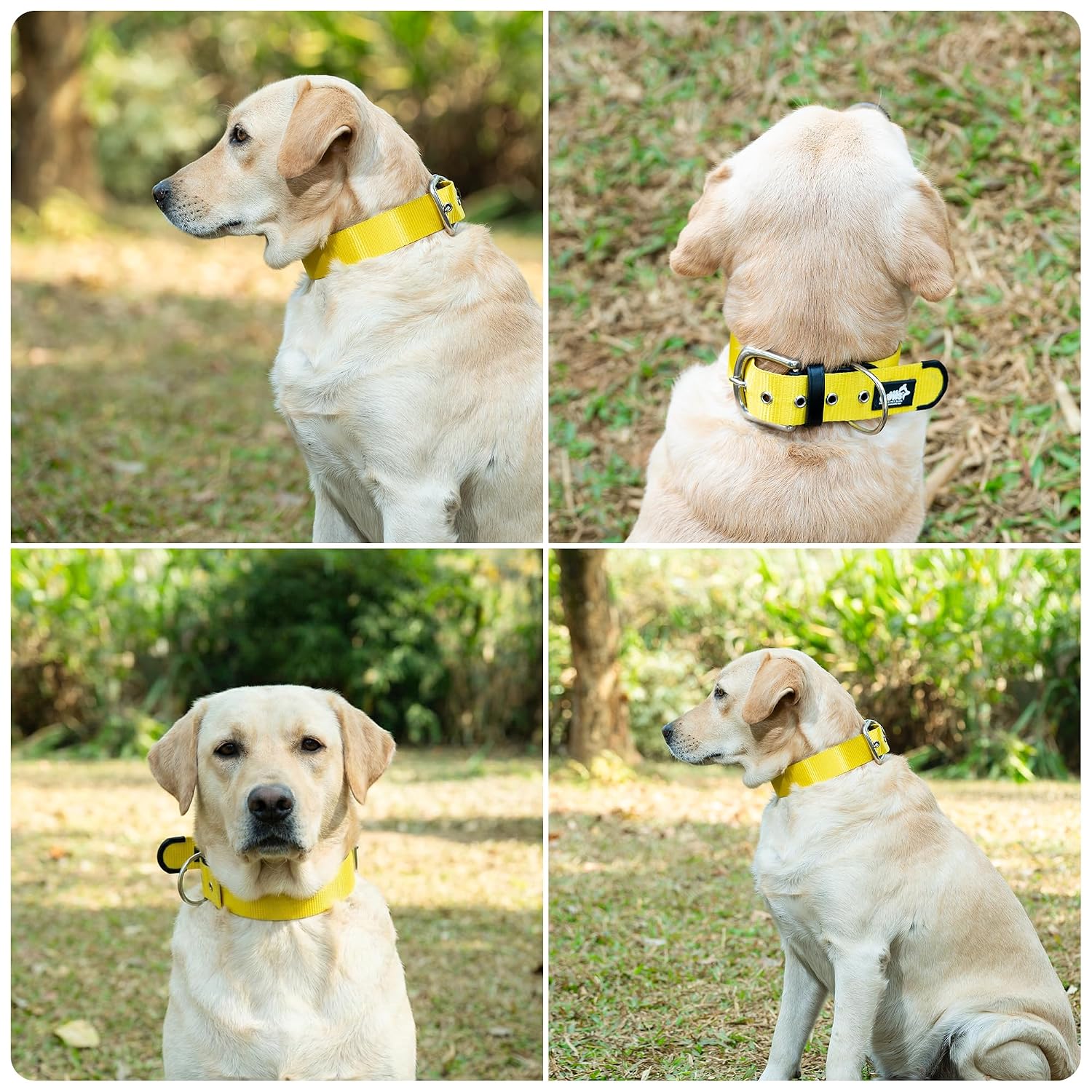 ADIL's Nylon Dog Collar – 1.5 Inch Wide Heavy-Duty Neckbelt with Metal Buckle D-Ring, Adjustable Safety Strap Small Medium Large Pets for Outdoor Walking Training