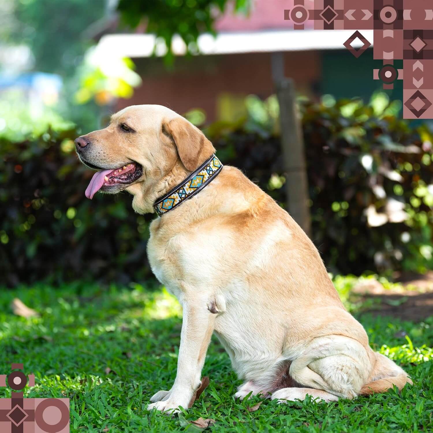 Adil’s Beaded Leather Dog Collar, Hand Tooled Adjustable with Strong Metal Buckle