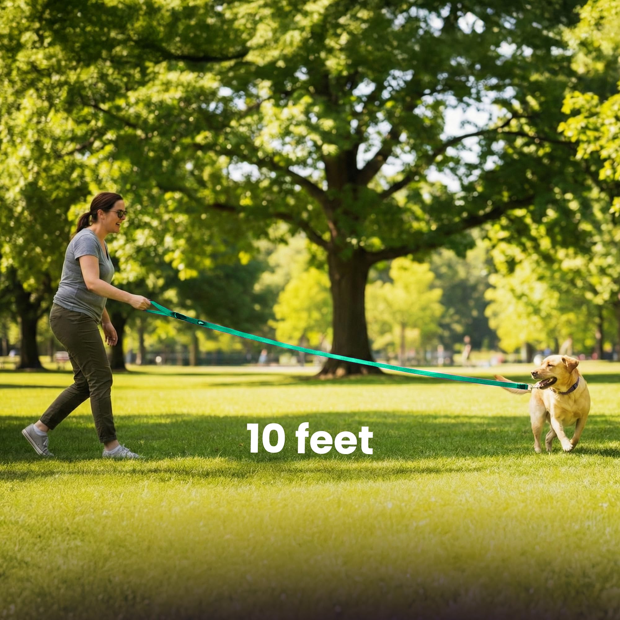 Adil’s 10FT Adjustable Dog Leash Features a Soft Leather Handle, Strong Nylon, and a 360° Swivel Hook—Durable, Comfy, and Ideal for Small to Large Dogs.