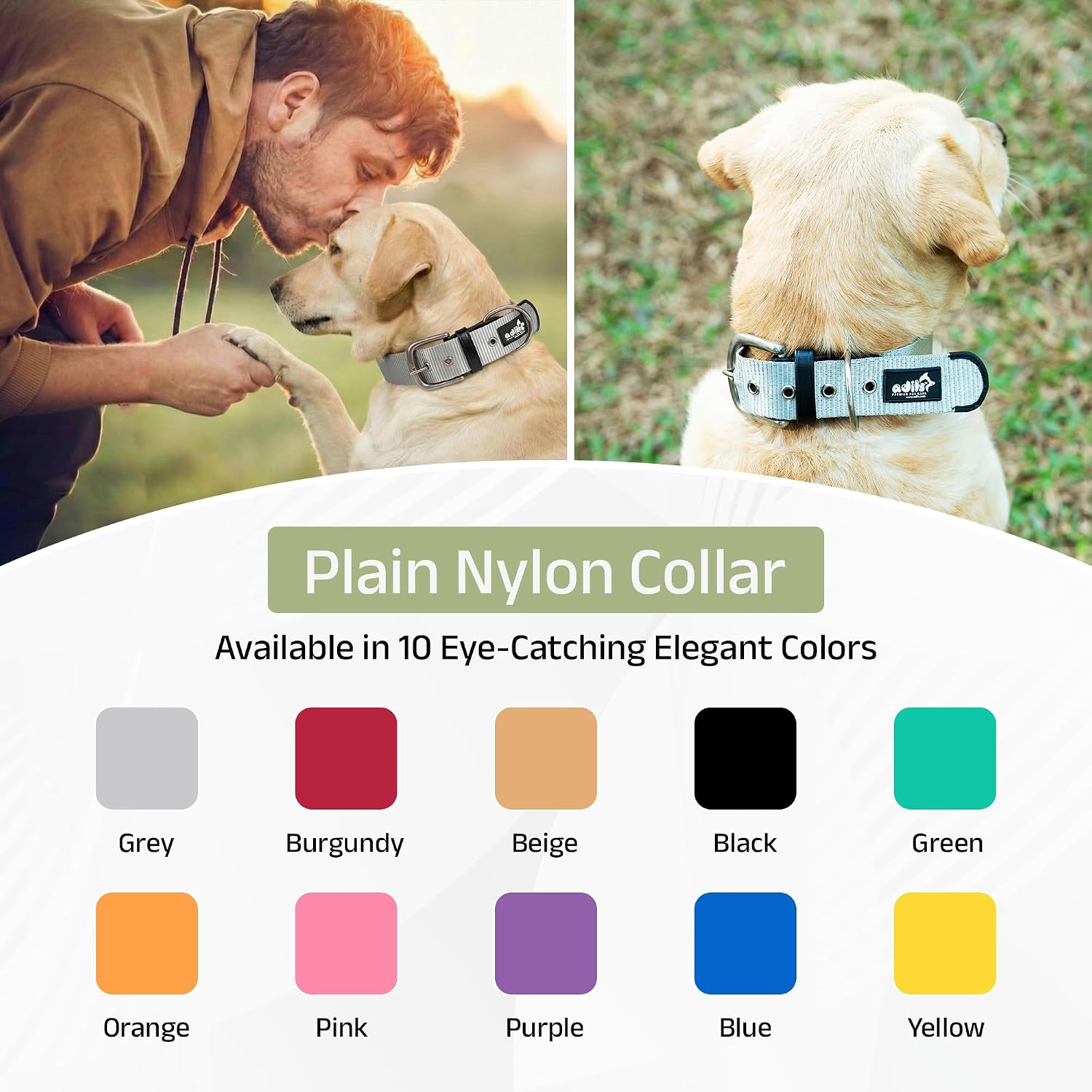 ADIL's Nylon Dog Collar – 1.5 Inch Wide Heavy-Duty Neckbelt with Metal Buckle D-Ring, Adjustable Safety Strap Small Medium Large Pets for Outdoor Walking Training