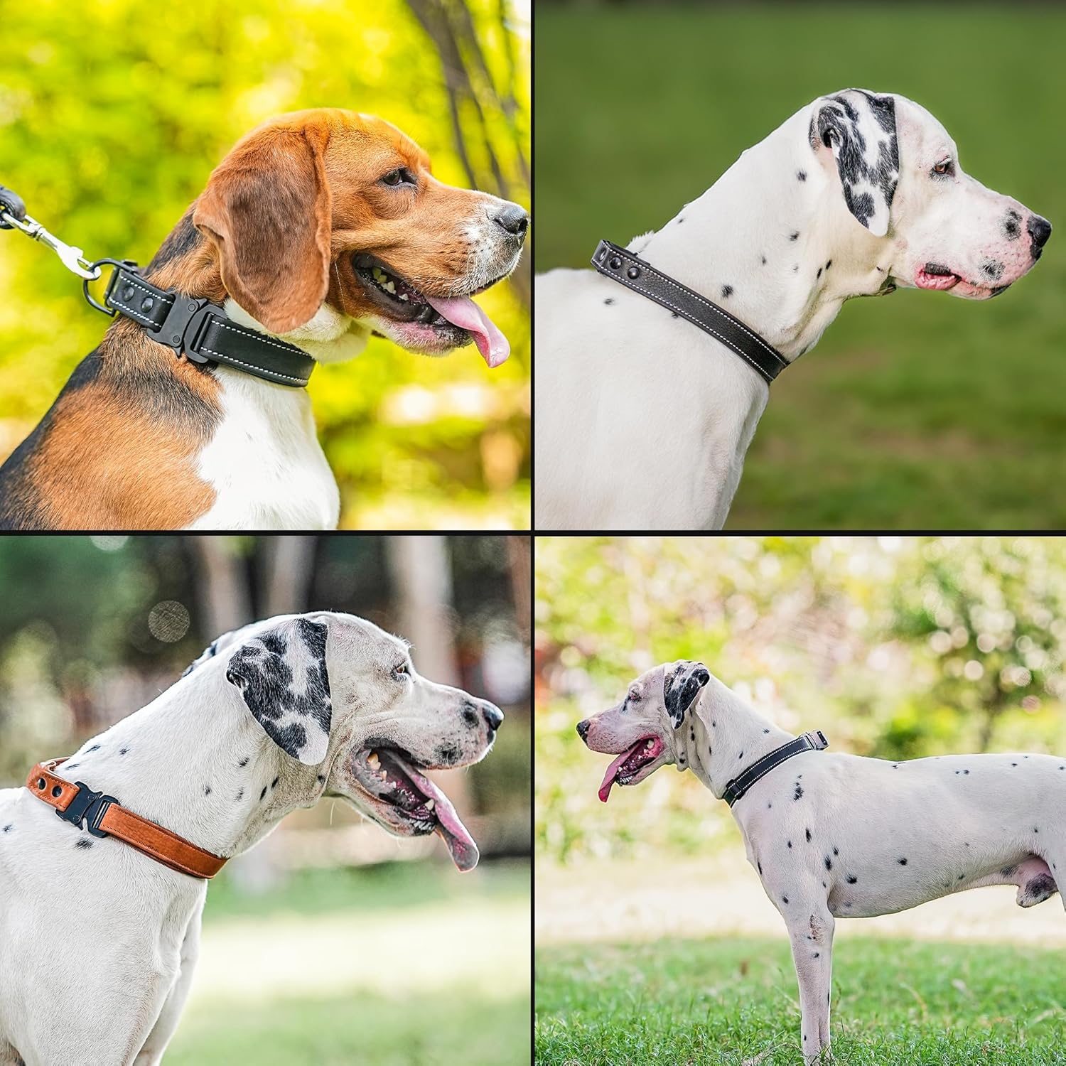 Adil’S Softy Leather Dog Collar 1inch, Dog Neck Belt for Medium to Large Pets – Leather Collars for Dog, Neck Adjustable 12-26 Inch