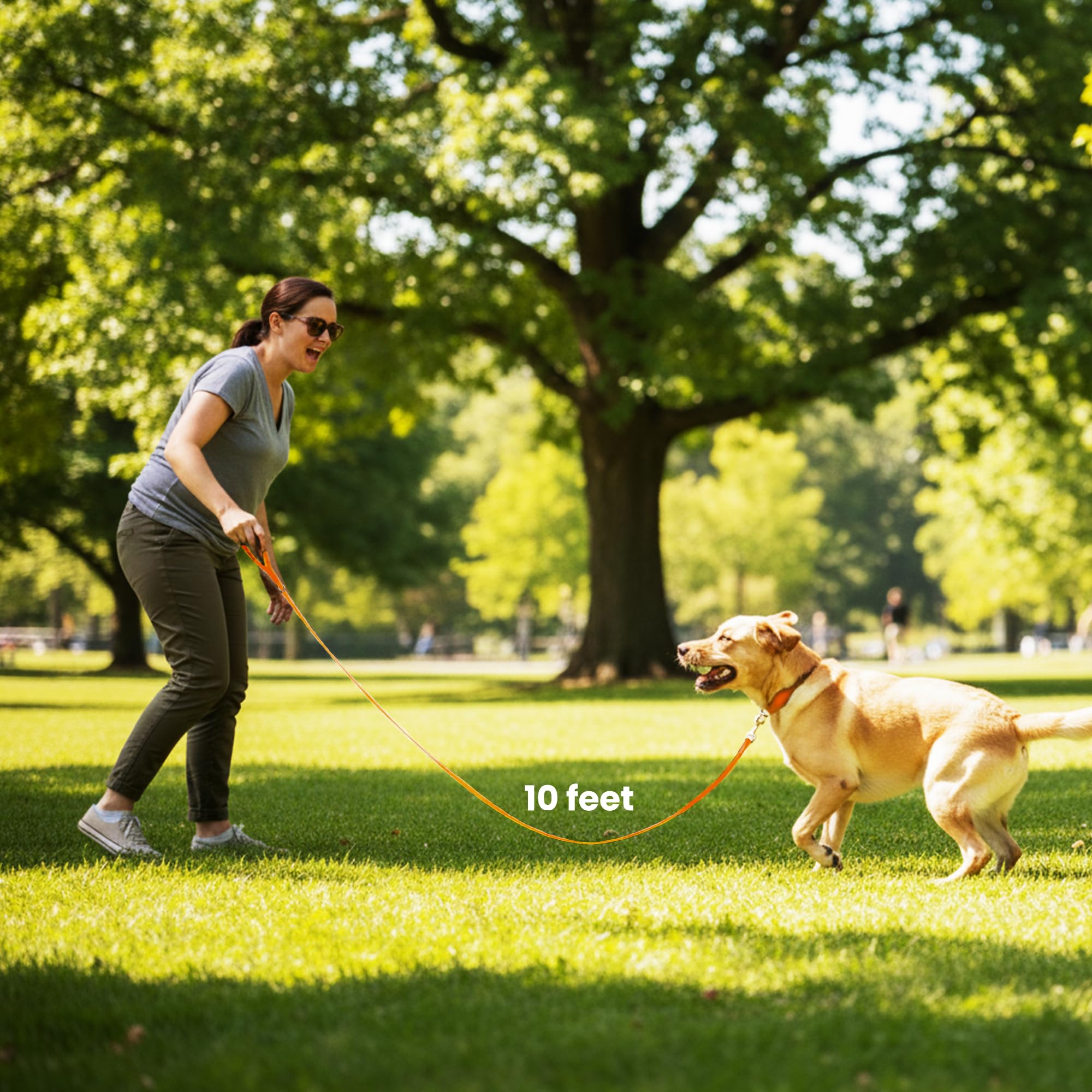 Adil’s 10FT Adjustable Dog Leash Features a Soft Leather Handle, Strong Nylon, and a 360° Swivel Hook—Durable, Comfy, and Ideal for Small to Large Dogs.