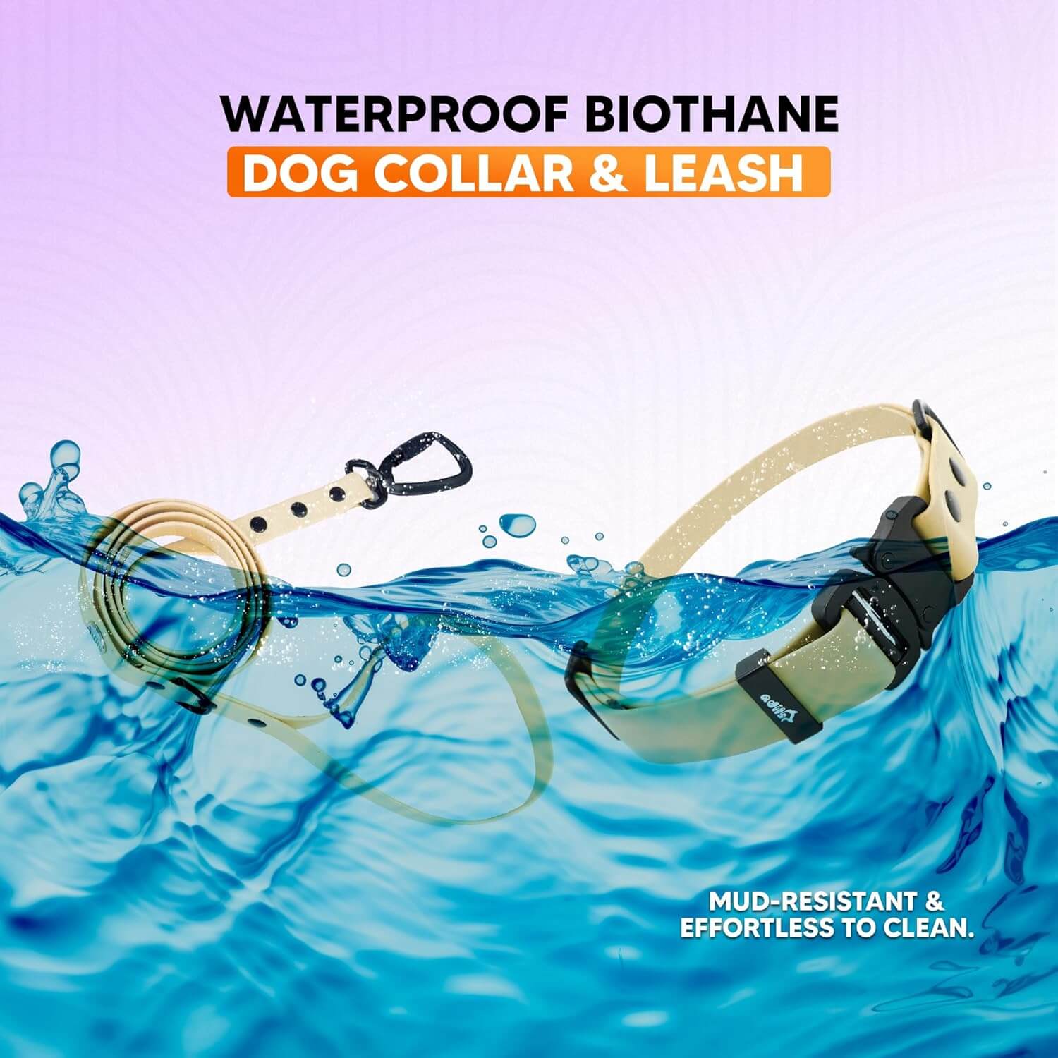 Biothane Combo Dog Collar & Leash