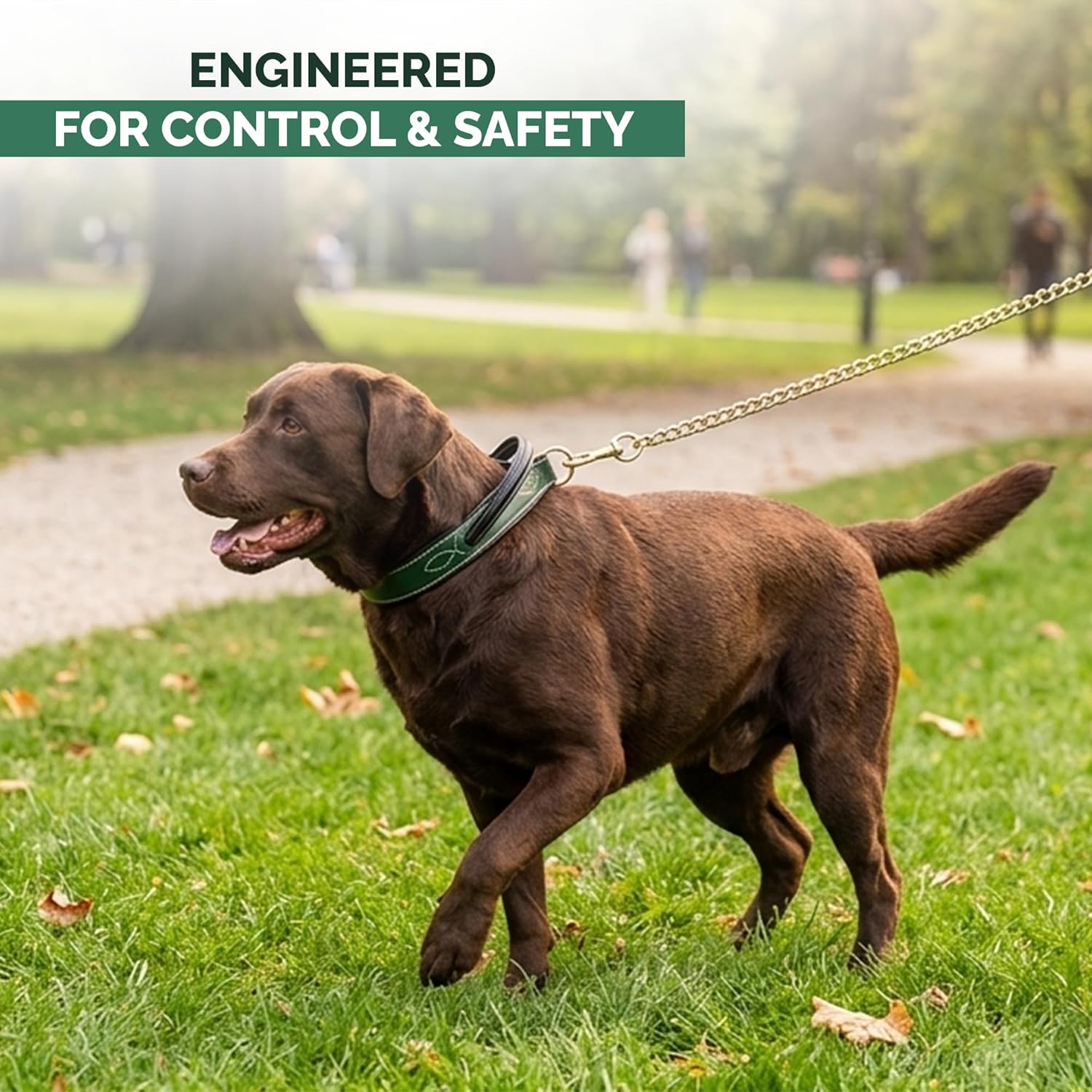 Adil's Softy Leather Dog Collar with Control Handle 1.5 inch Wide Built-in Quick Grab Leather Pull Strap, Heavy Duty Dual D-Ring Neckbelt for Medium & Large Dogs