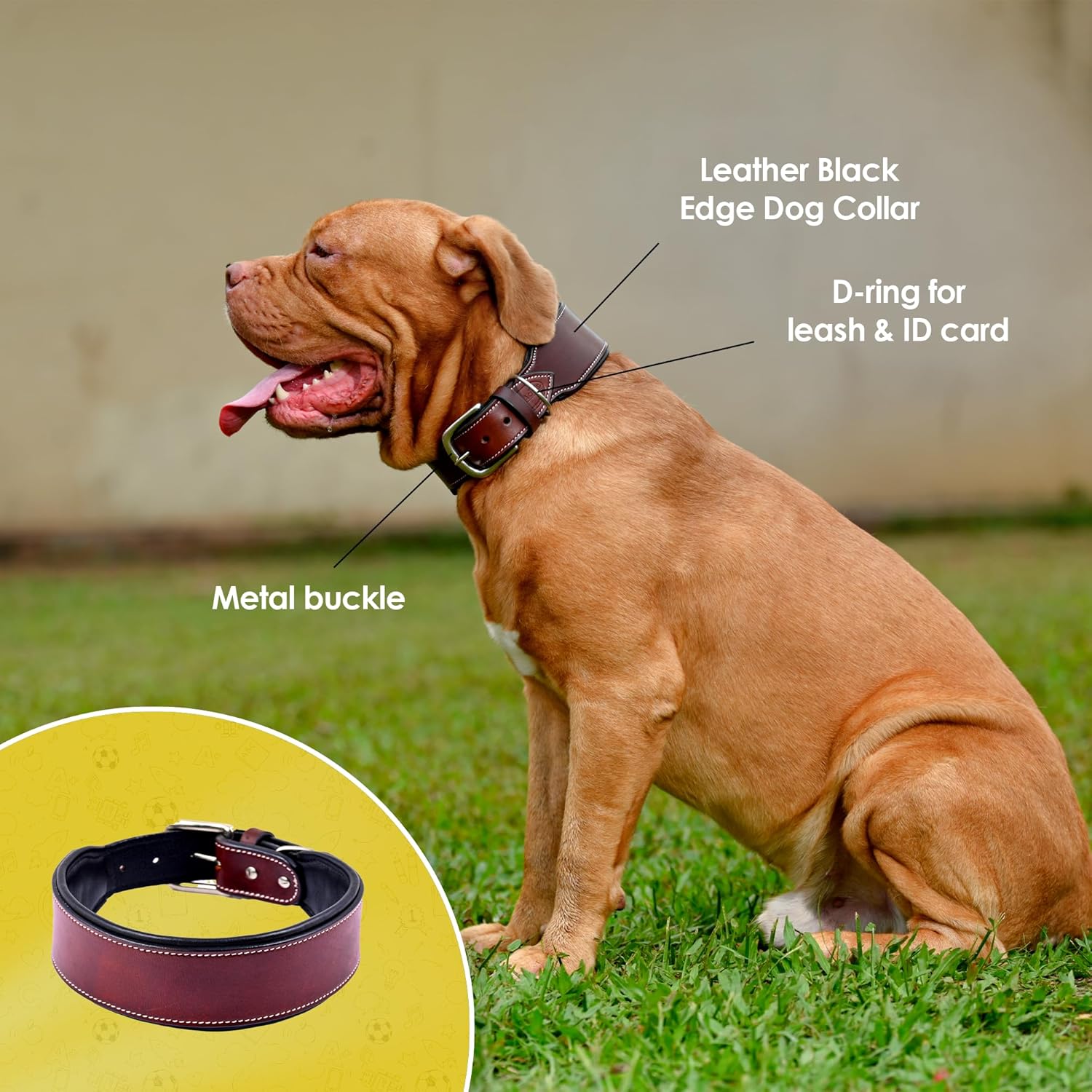 Adil’S Colour Padding Leather Dog Collar 2.25 Inches Width, Heavy Duty, Adjustable Leather Handmade Dog Collar with Strong Metal Buckle, Neck Size: 16” to 26” (Black, M)