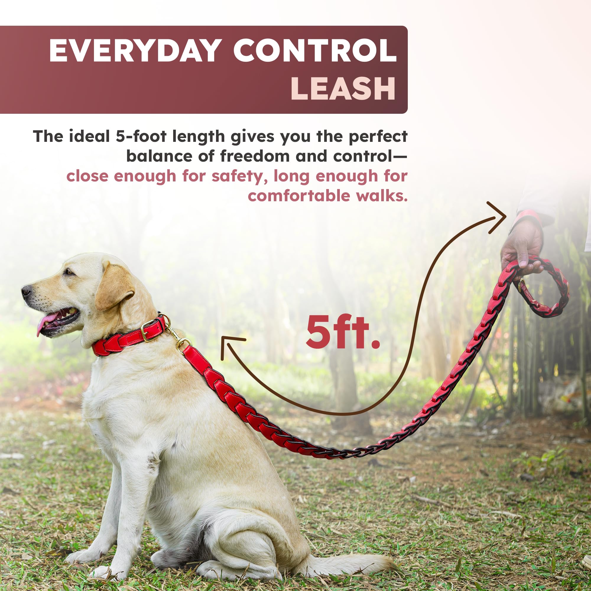 Adil's Premium Softy Leather Dog Leash 5ft Long 1 Inch Wide Braided Leash with Loop Handle 360° Golden Swivel Hook Strong D-Ring Durable Walking Training Lead for Small Medium Large Pets