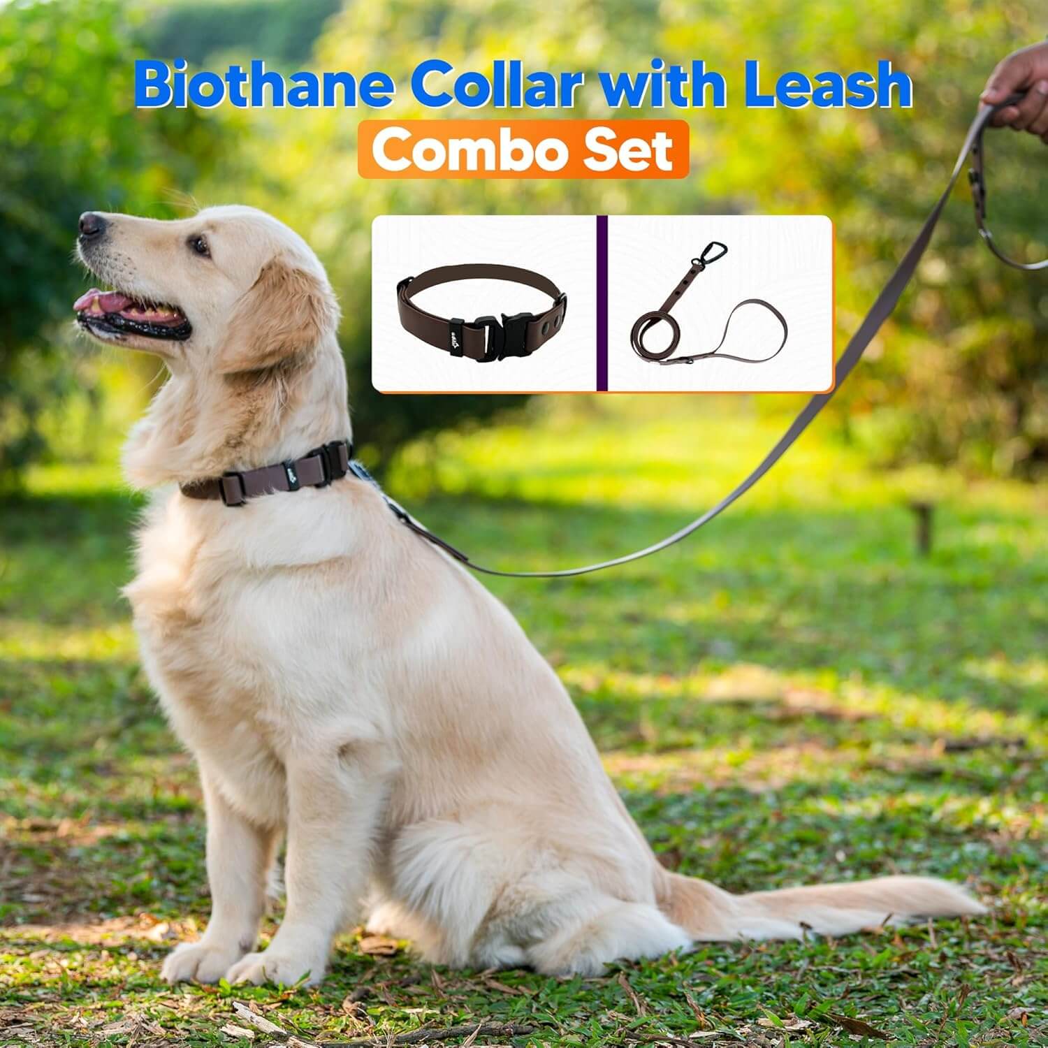 Biothane Combo Dog Collar & Leash