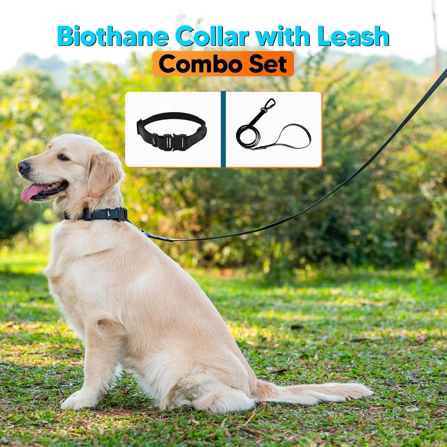 Biothane Combo Dog Collar & Leash