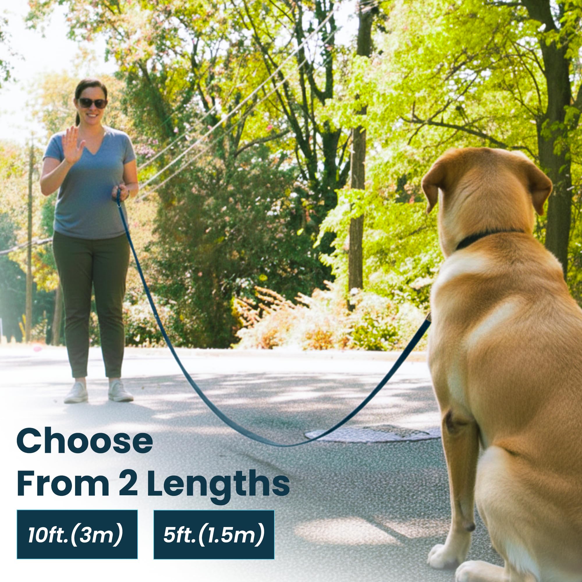 Adil’s 10FT Adjustable Dog Leash Features a Soft Leather Handle, Strong Nylon, and a 360° Swivel Hook—Durable, Comfy, and Ideal for Small to Large Dogs.