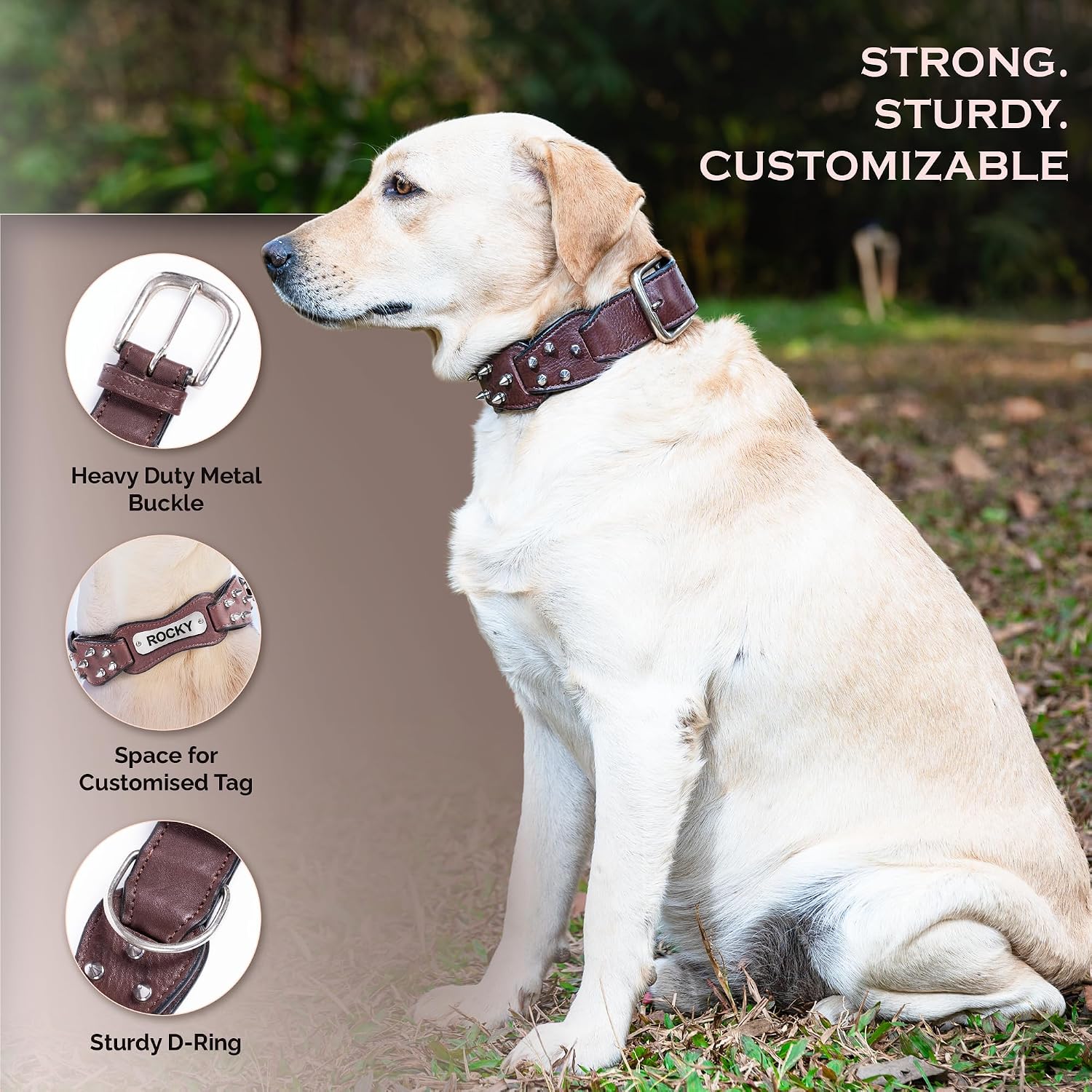 Adil's Personalized Softy Premium Leather Spiked Dog Collar – 1.5 Inch Wide Loop Design Heavy Duty Soft Padded Neckbelt, Sturdy Stainless Steel Buckle & D-Ring for Small, Medium & Large Pets