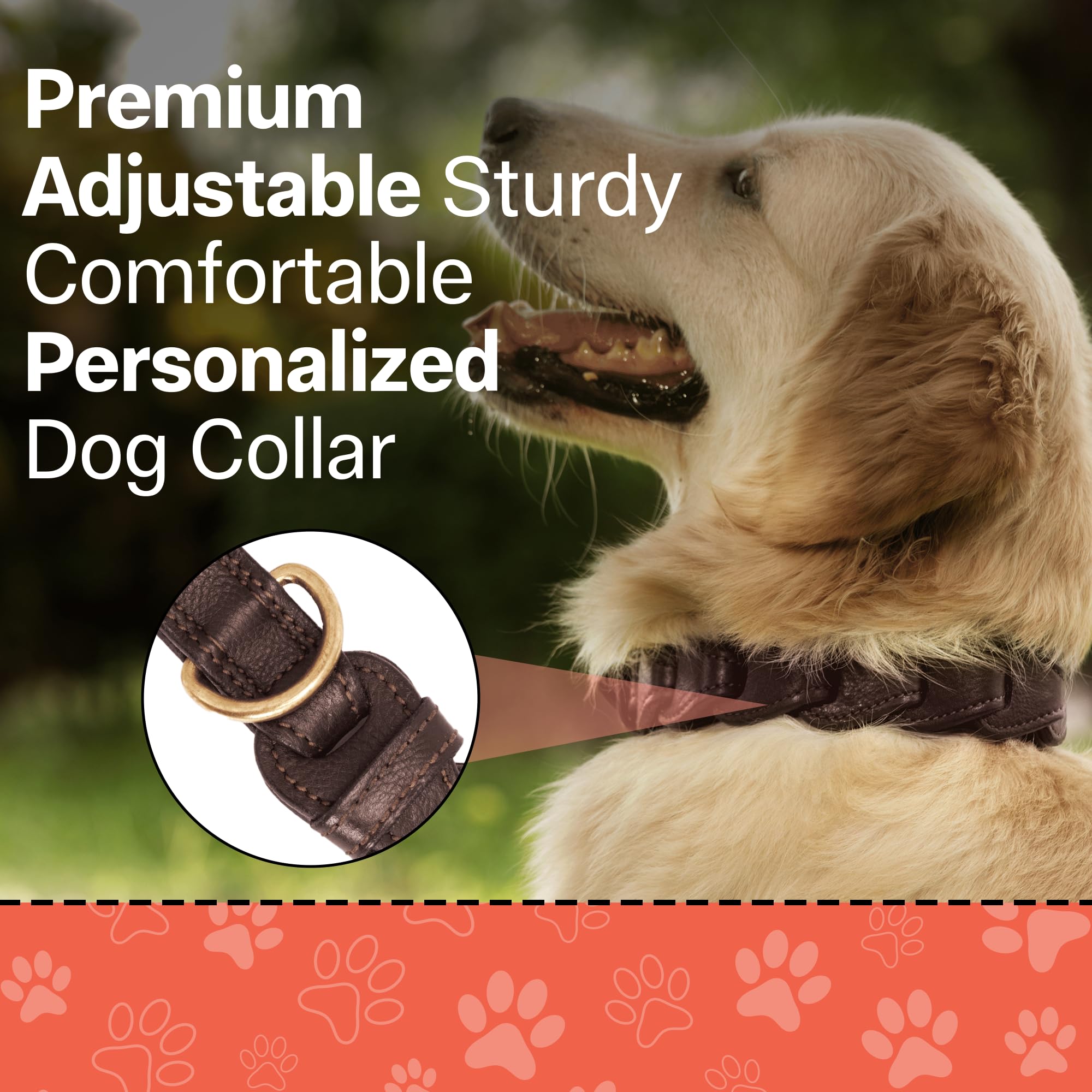 Adil’S Soft Leather Personalized Dog Collar for Large Medium Small Dogs Neck Collar with Personalized Dog Name in Neck Size 12 Inch to 26 Inch