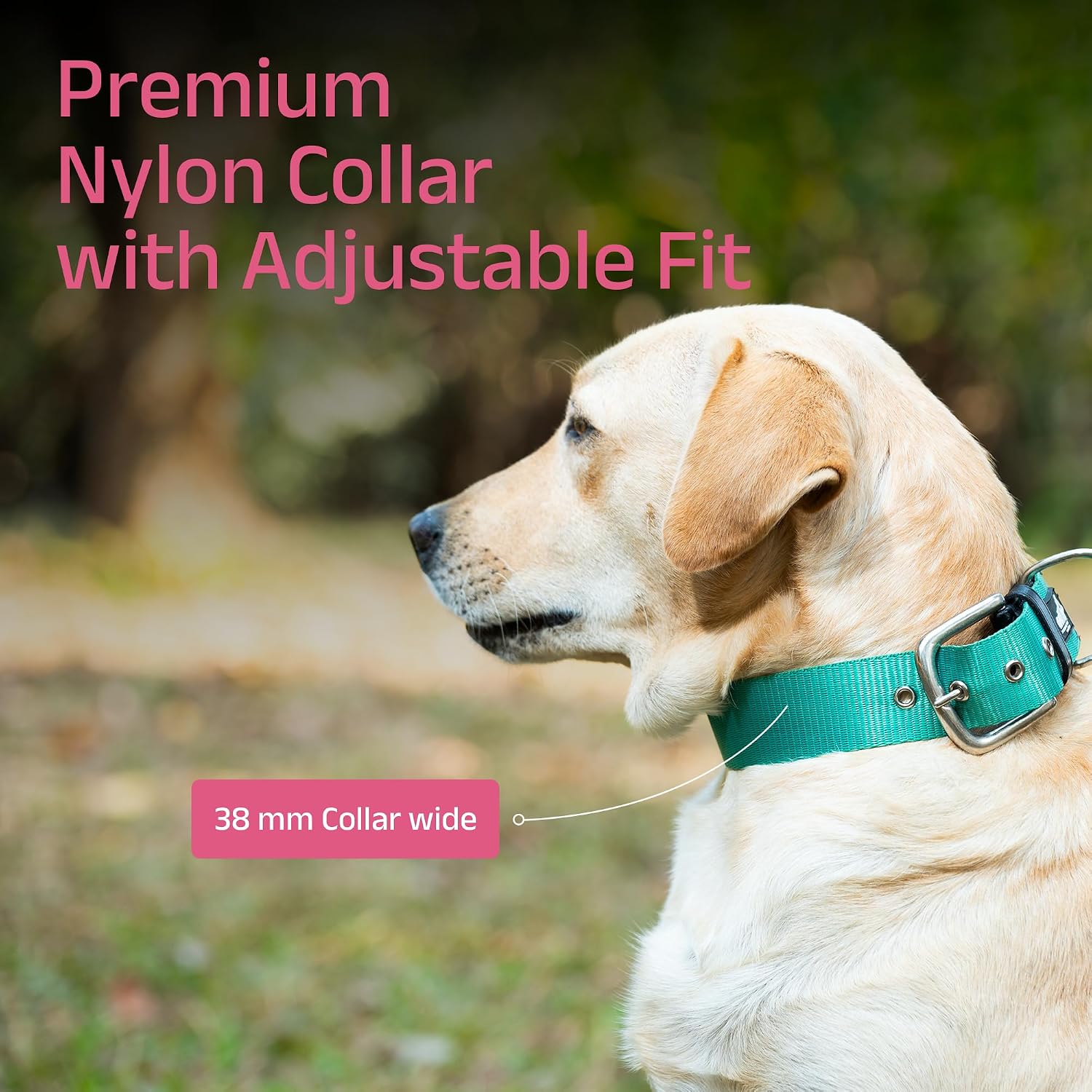 ADIL's Nylon Dog Collar – 1.5 Inch Wide Heavy-Duty Neckbelt with Metal Buckle D-Ring, Adjustable Safety Strap Small Medium Large Pets for Outdoor Walking Training