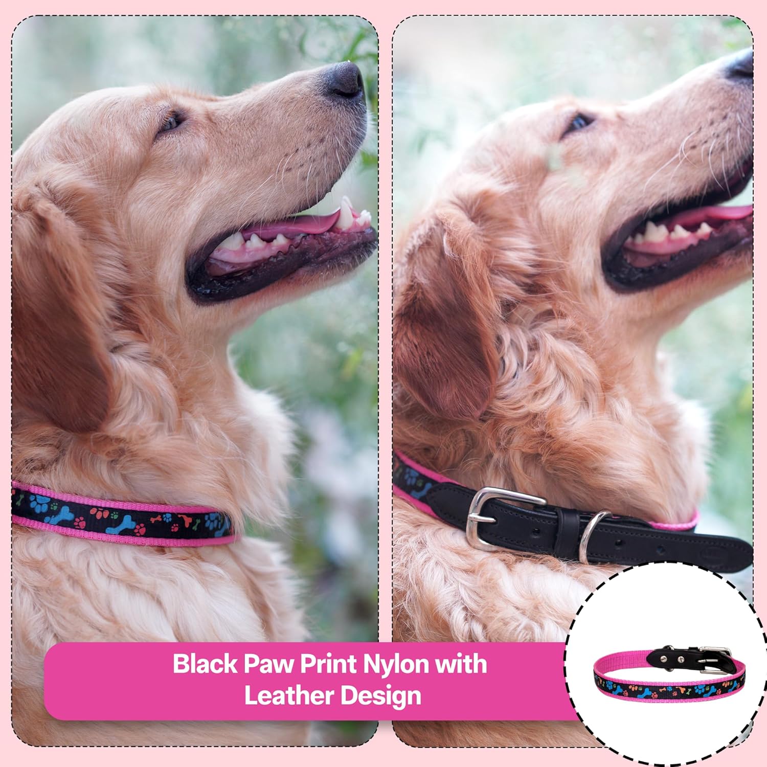 Adil’S Paw Print Nylon Dog Collar, Adjustable Metal Buckle with D-Ring Width: 1 inch for Small, Medium & Large Dogs, Pet Collar for All Breeds
